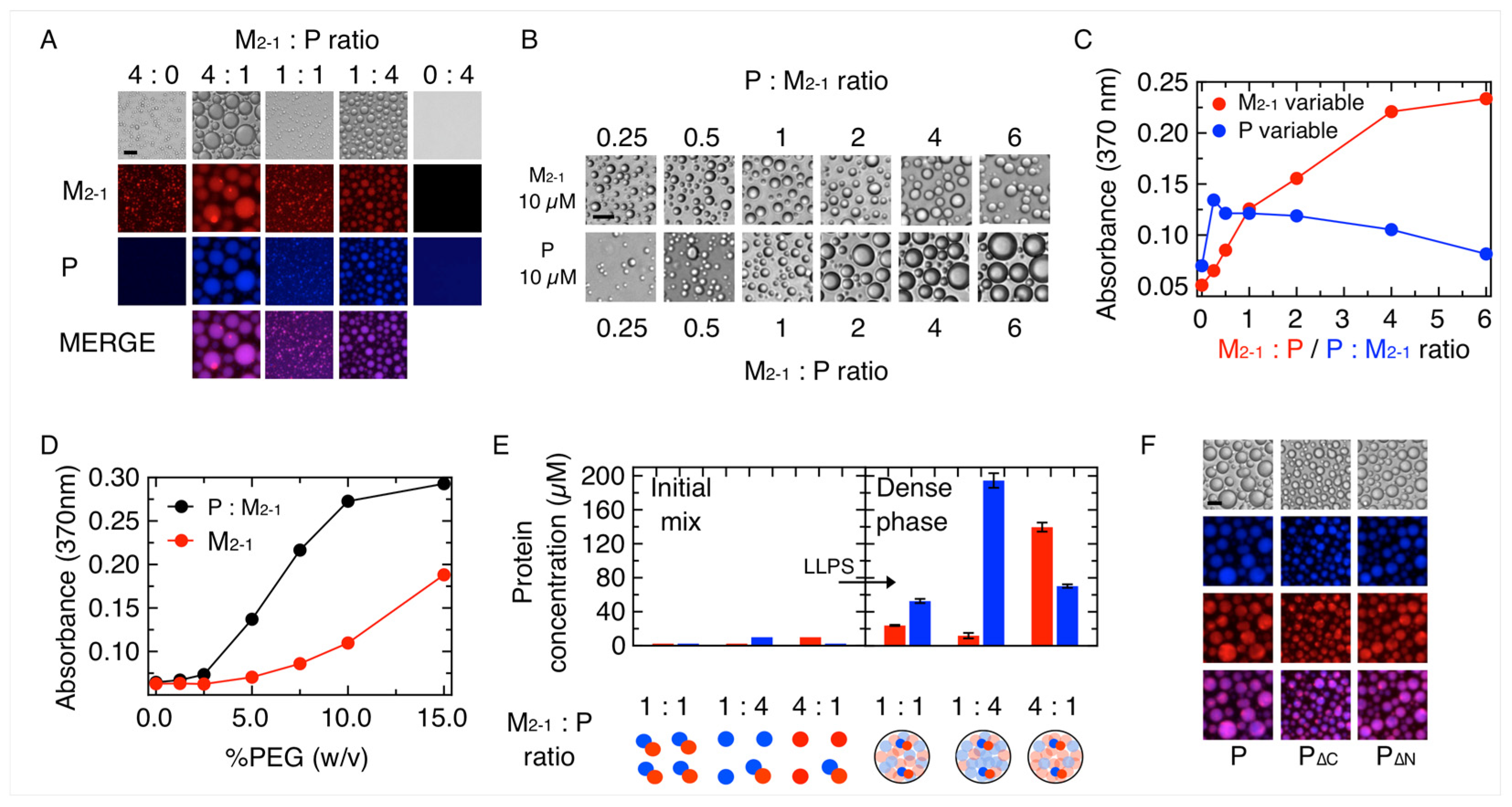 Viruses 15 01329 g002