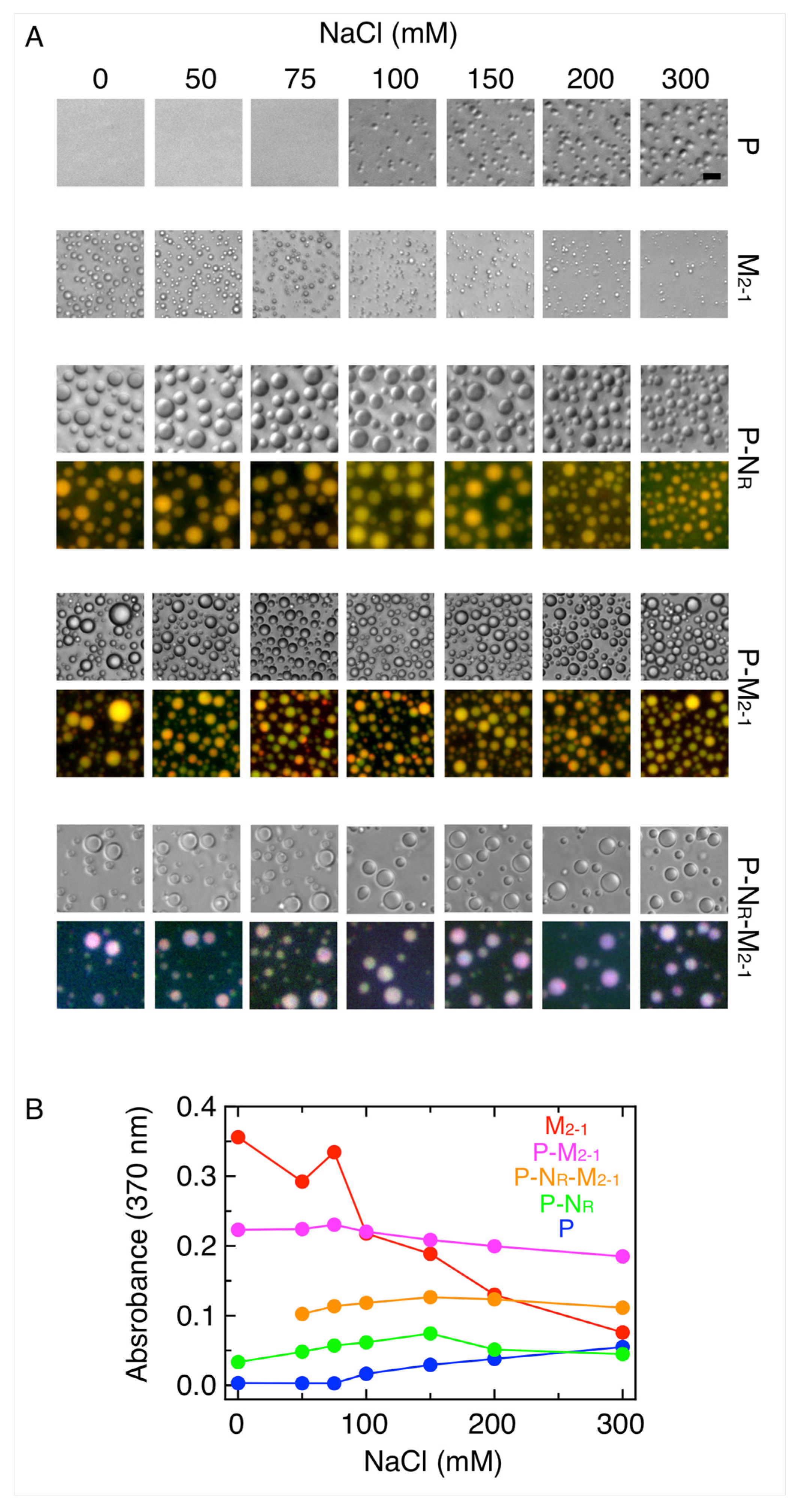 Viruses 15 01329 g004