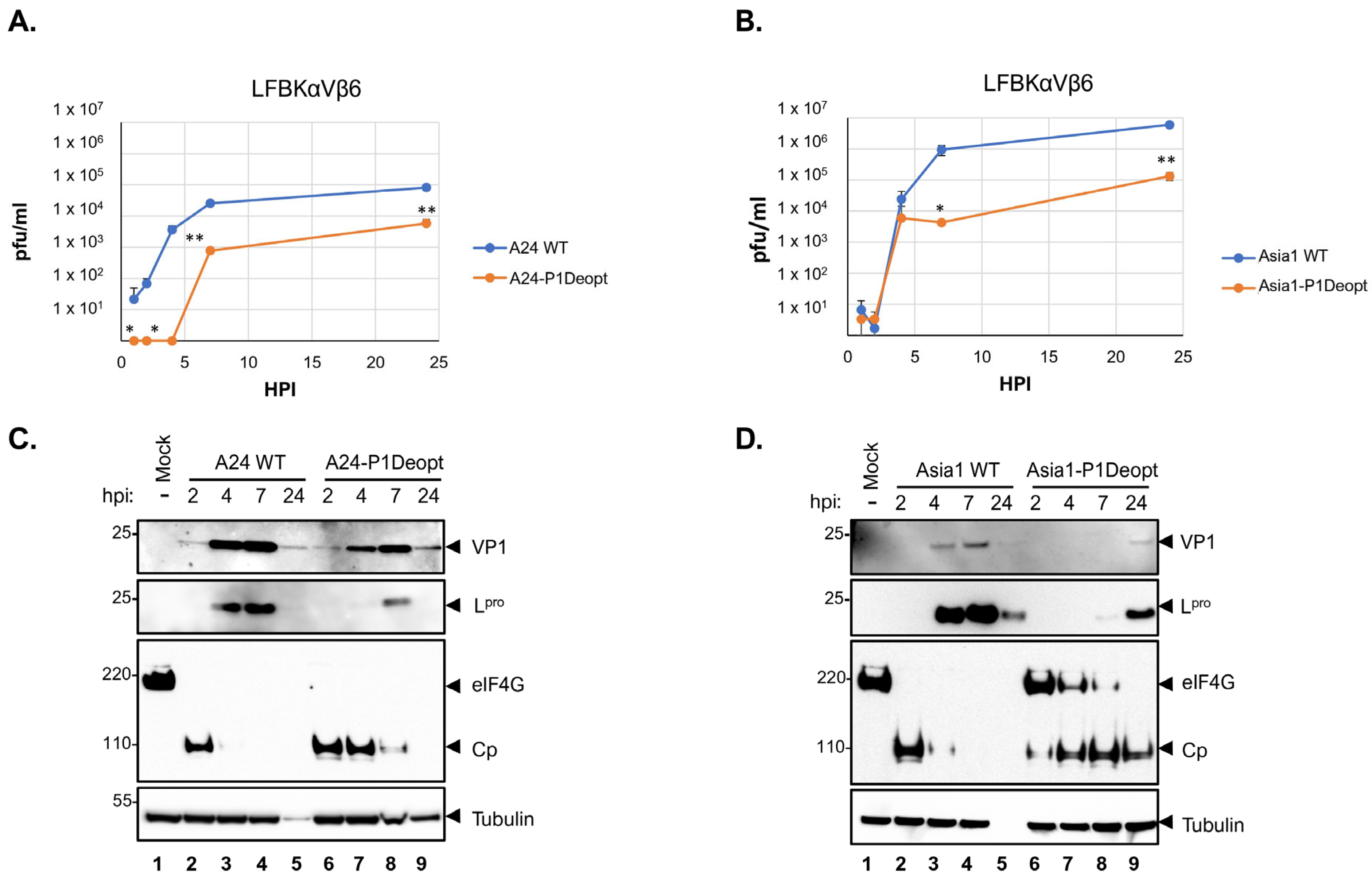 Viruses 15 01332 g001 Viruses 15 01332 g001