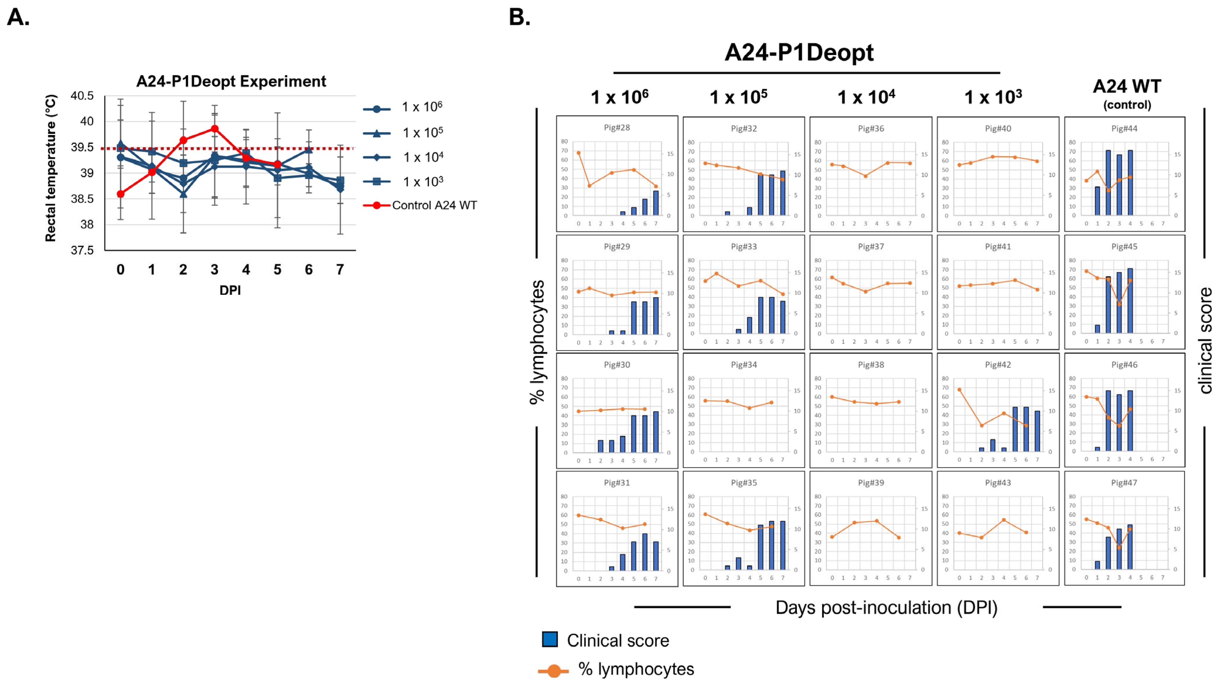 Viruses 15 01332 g003 Viruses 15 01332 g003