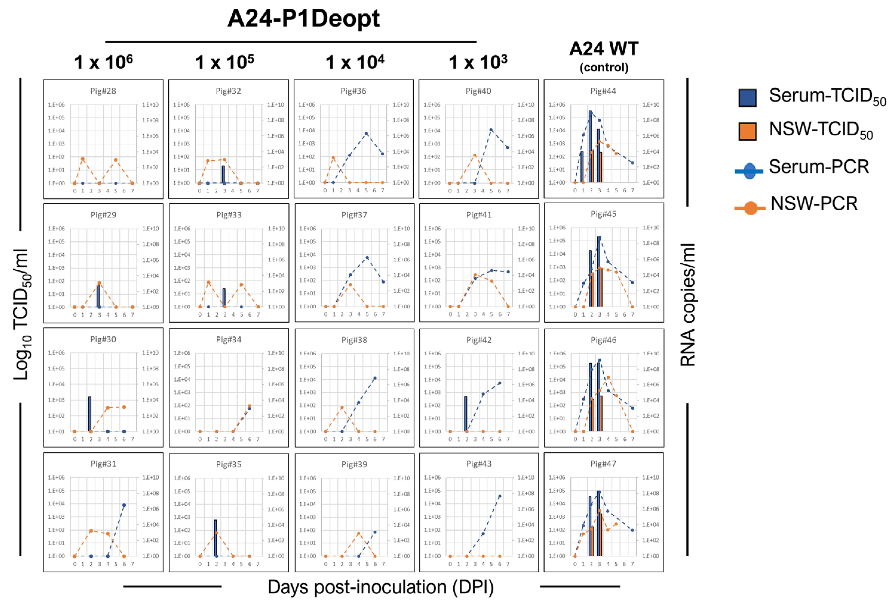 Viruses 15 01332 g004 Viruses 15 01332 g004