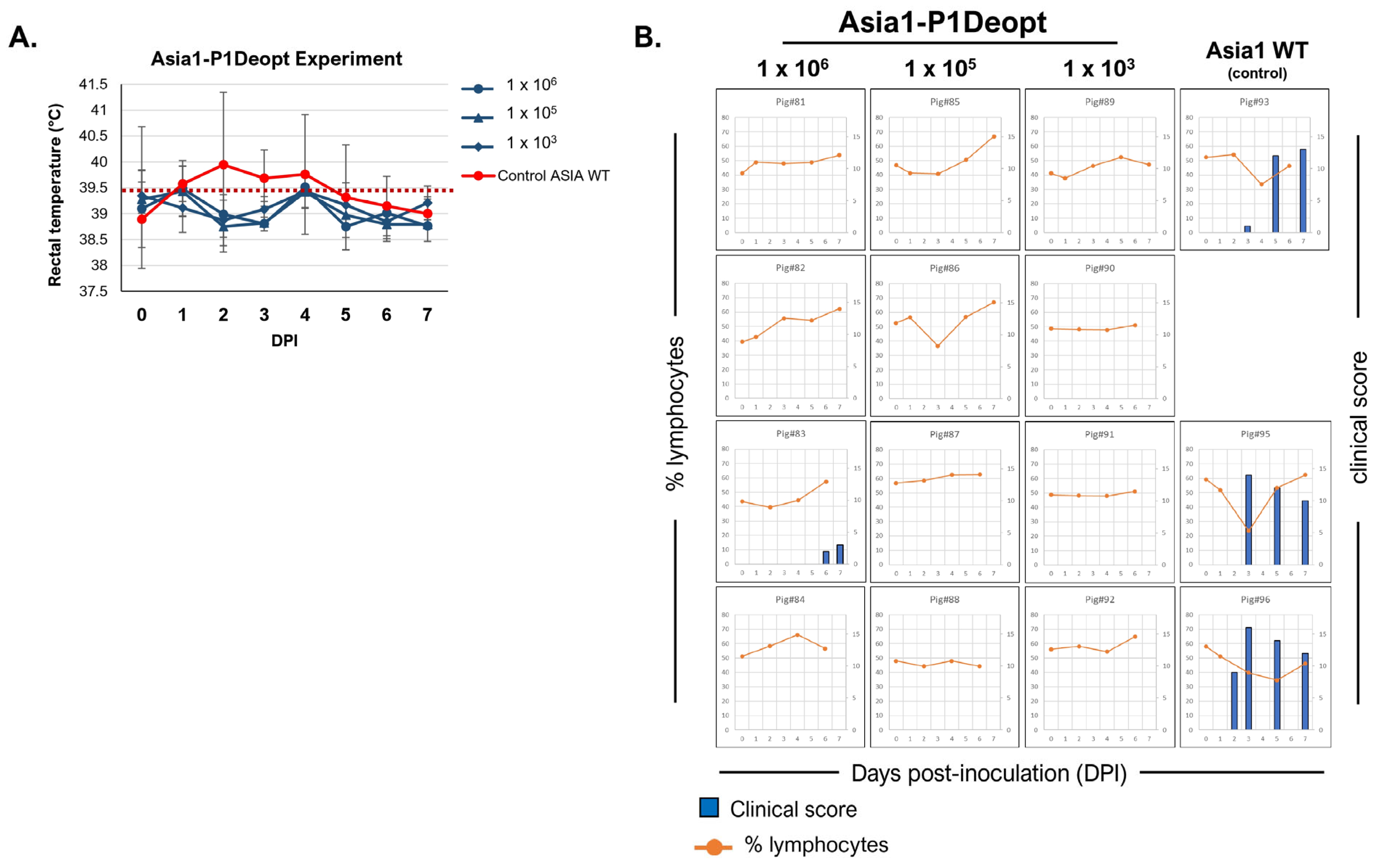 Viruses 15 01332 g005 Viruses 15 01332 g005