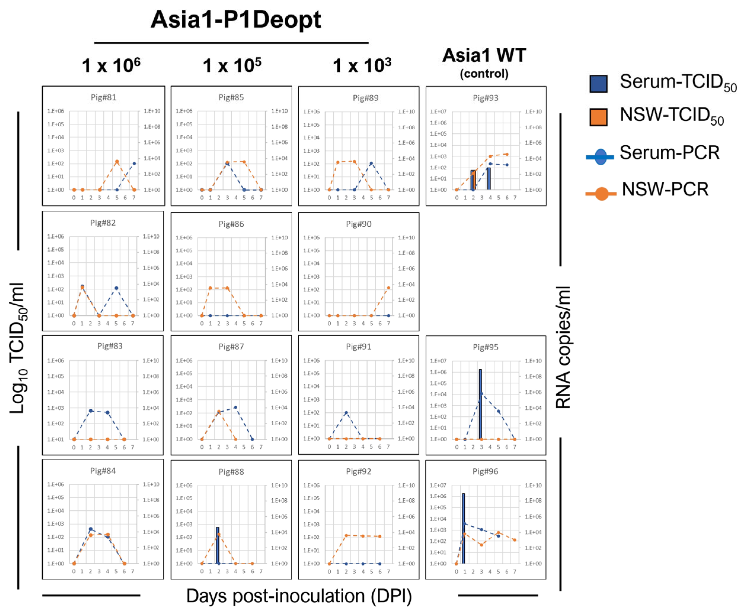 Viruses 15 01332 g006 Viruses 15 01332 g006