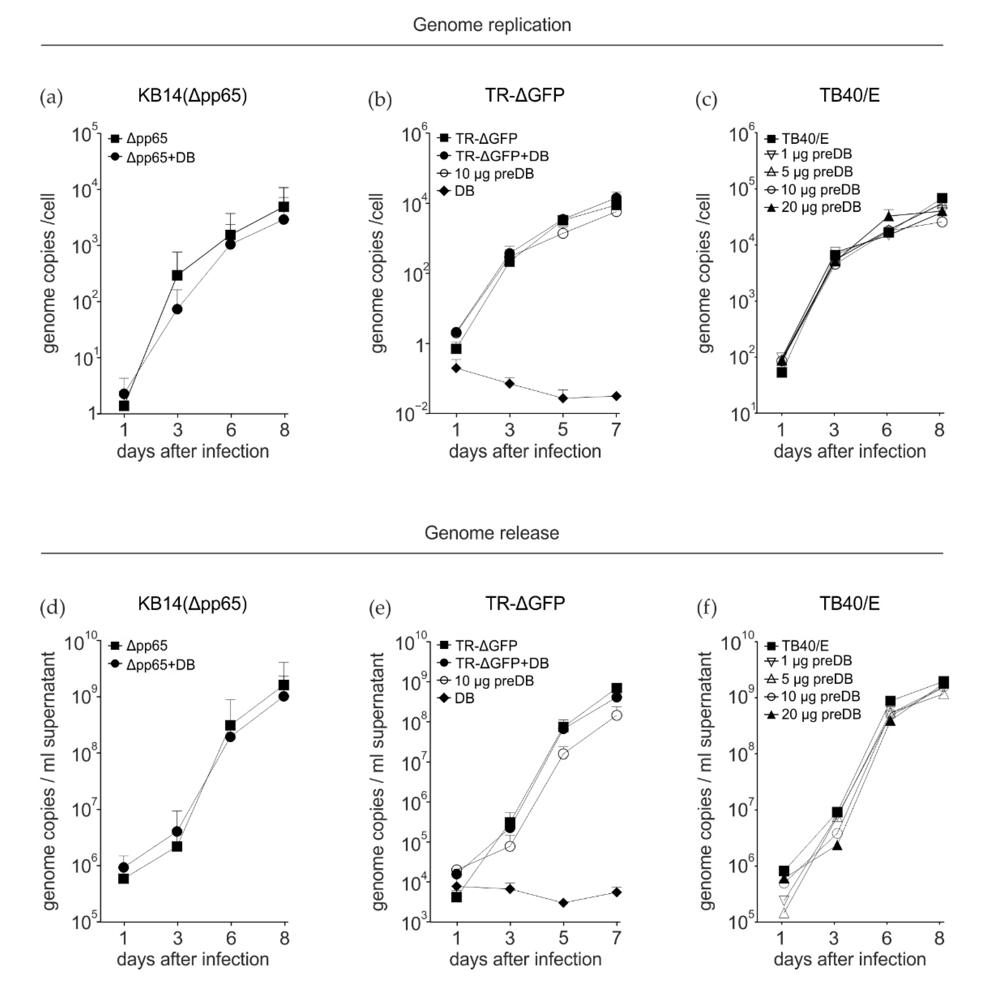 Viruses 15 01333 g001 Viruses 15 01333 g001