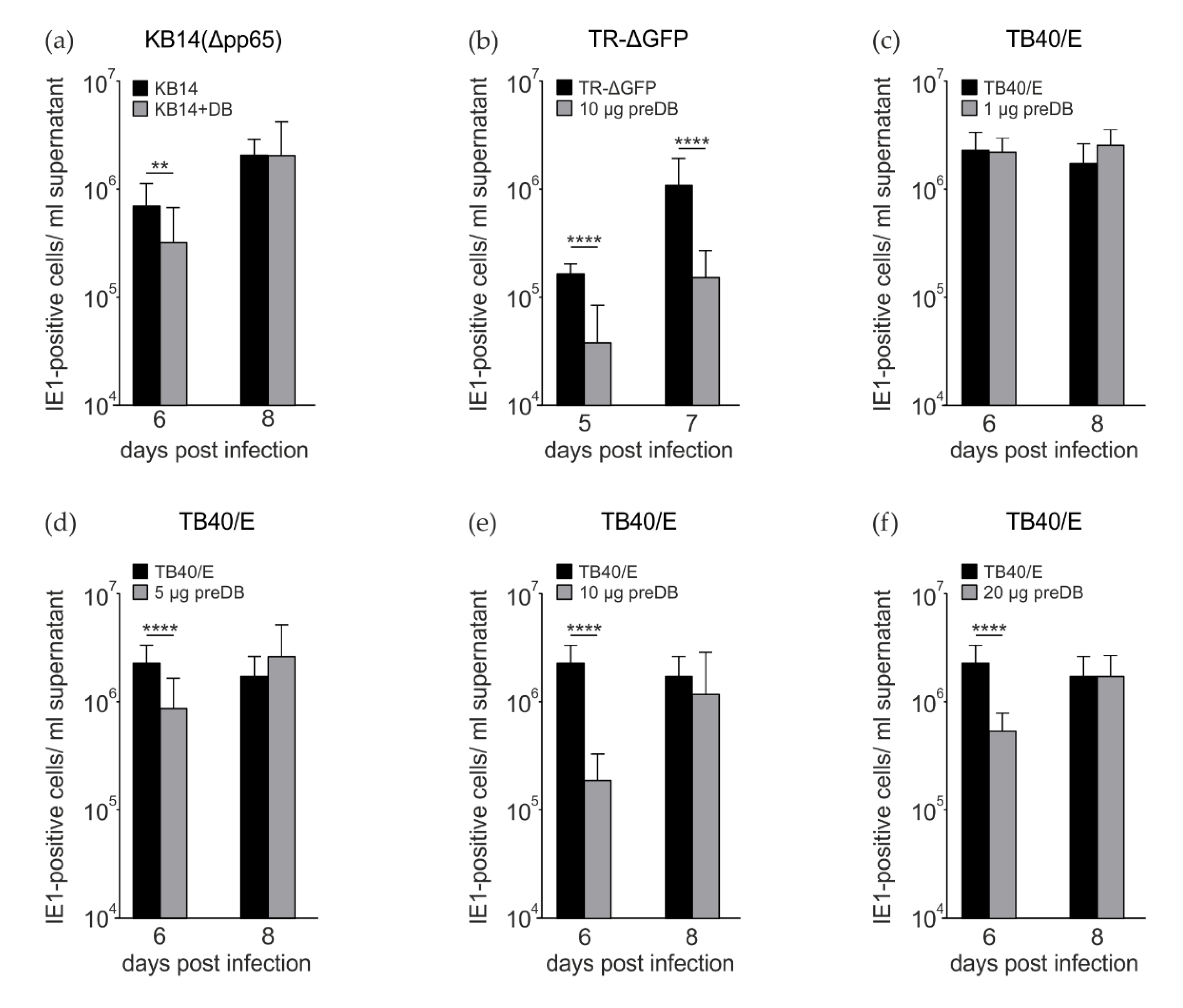 Viruses 15 01333 g002 Viruses 15 01333 g002