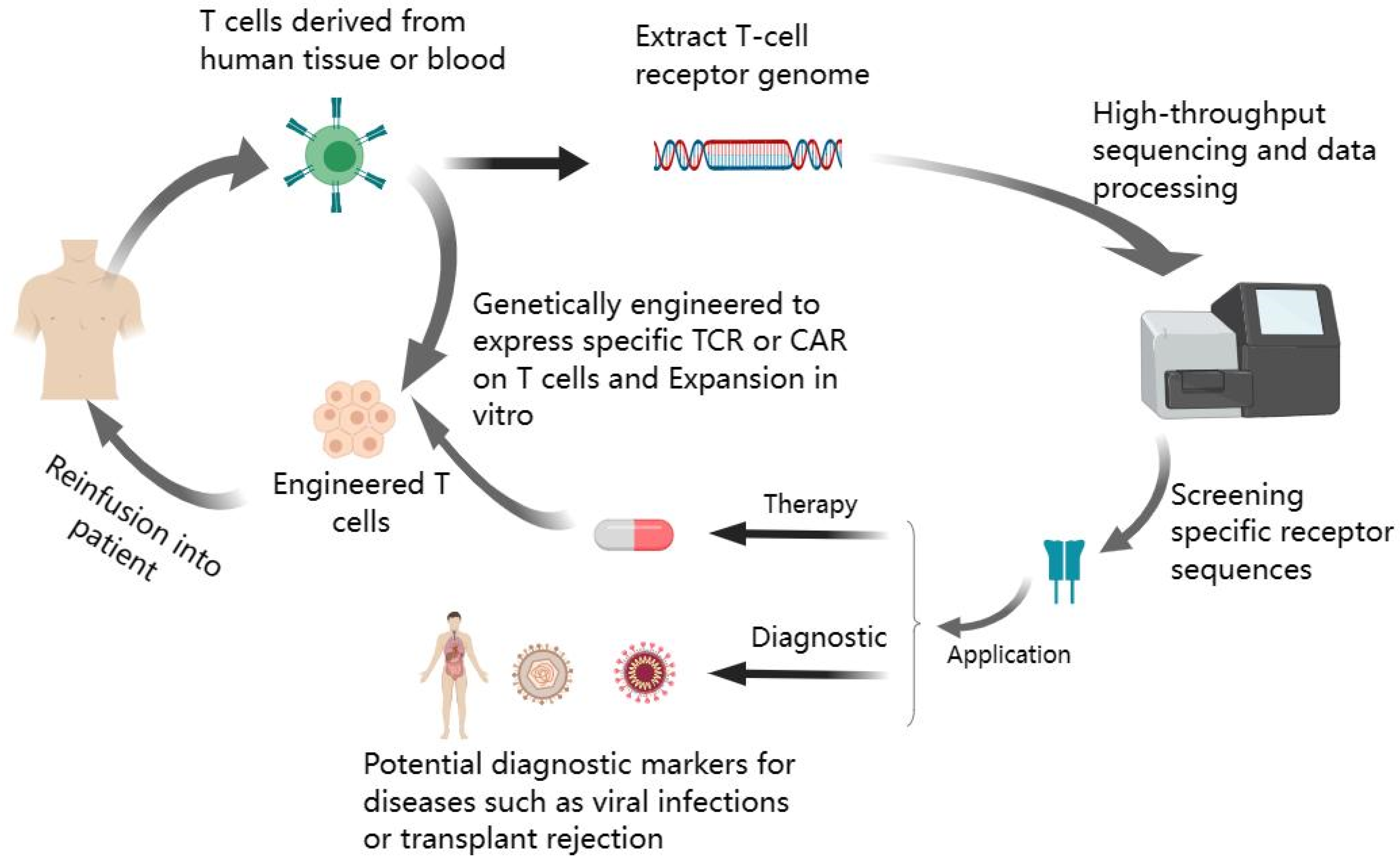 Viruses 15 01334 g002 Viruses 15 01334 g002