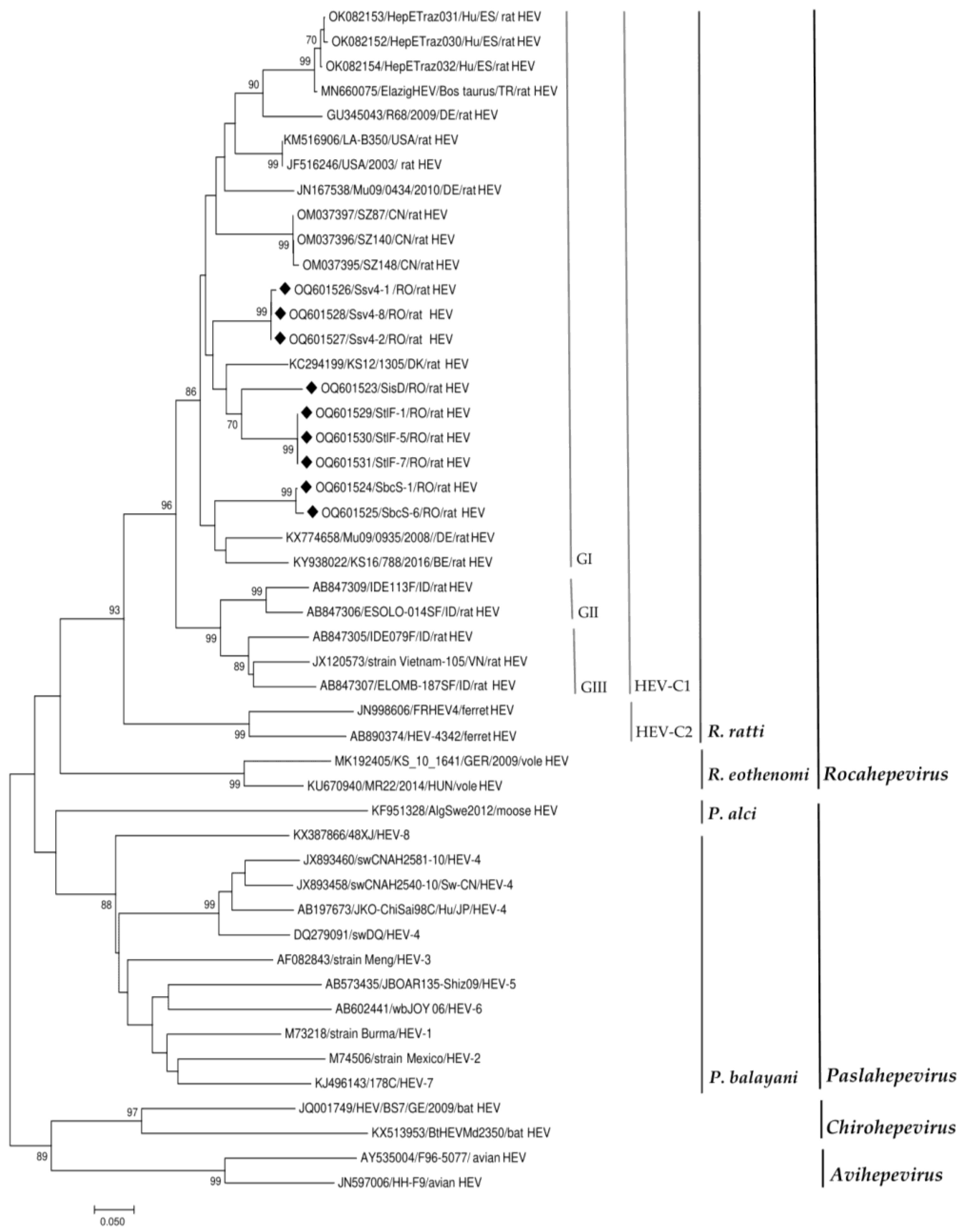 Viruses 15 01337 g002