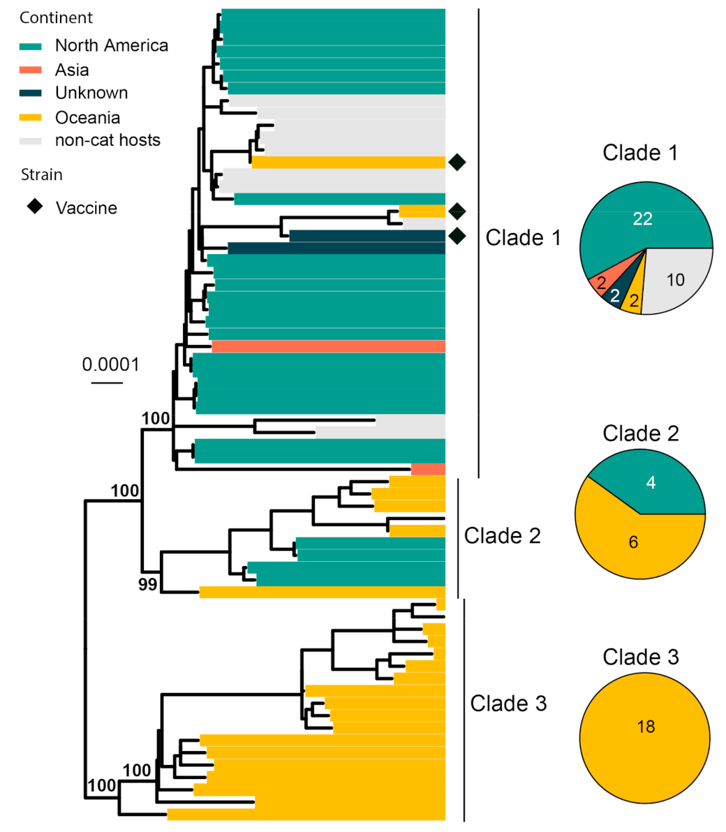 Viruses 15 01338 g007 Viruses 15 01338 g007