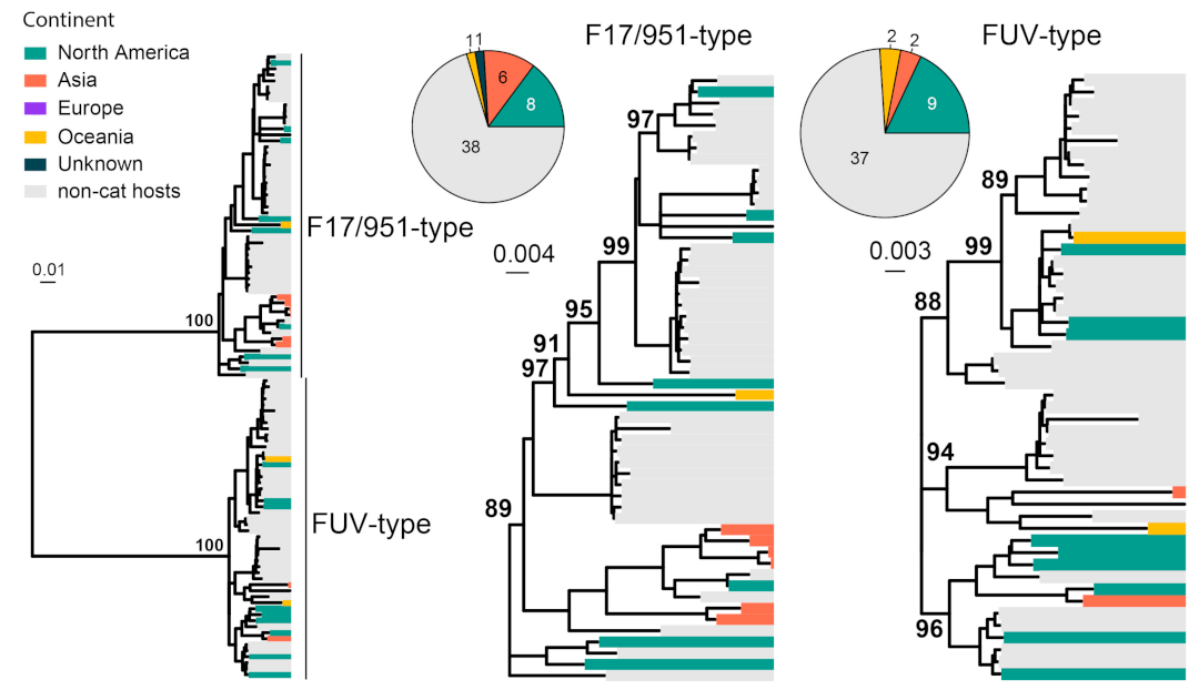 Viruses 15 01338 g008 Viruses 15 01338 g008