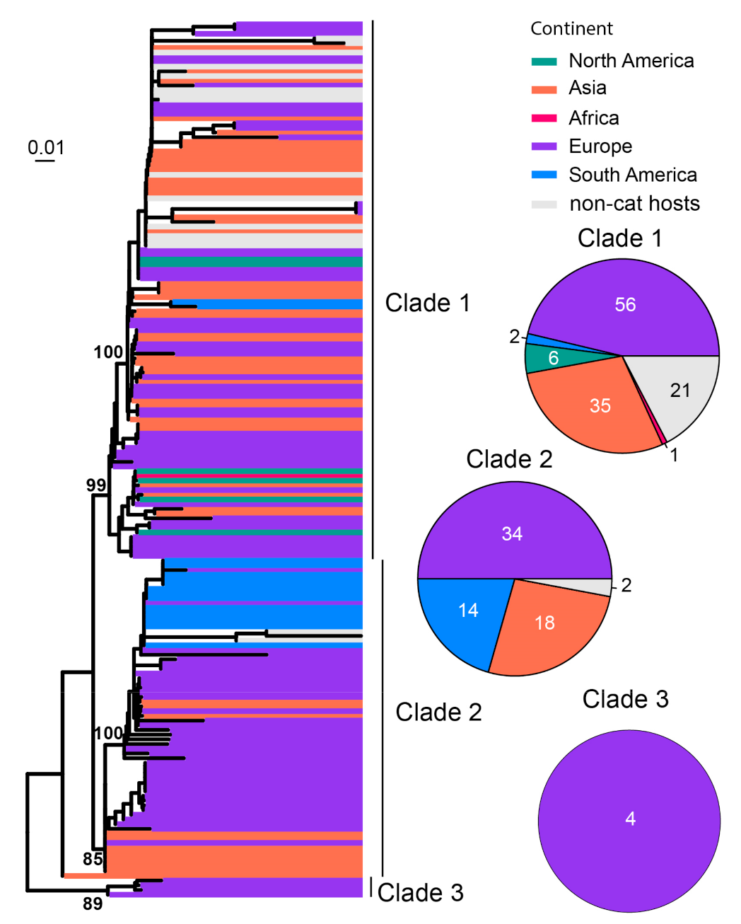 Viruses 15 01338 g009 Viruses 15 01338 g009
