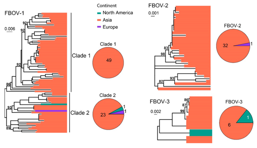 Viruses 15 01338 g010 Viruses 15 01338 g010