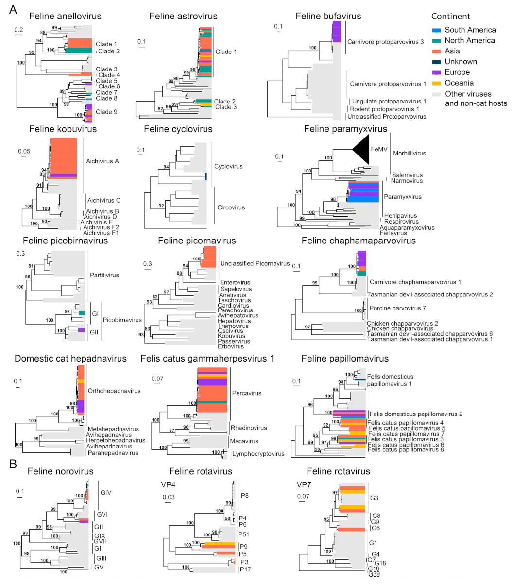 Viruses 15 01338 g011 Viruses 15 01338 g011
