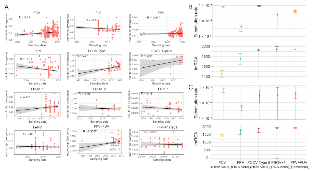 Viruses 15 01338 g013 Viruses 15 01338 g013