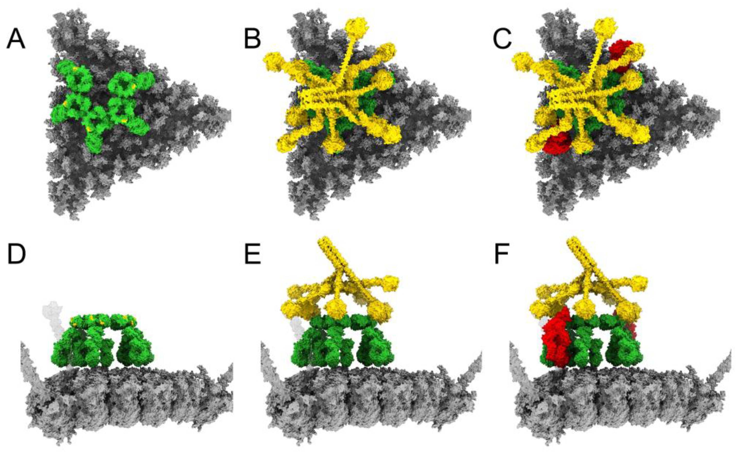 Viruses 15 01343 g002 Viruses 15 01343 g002