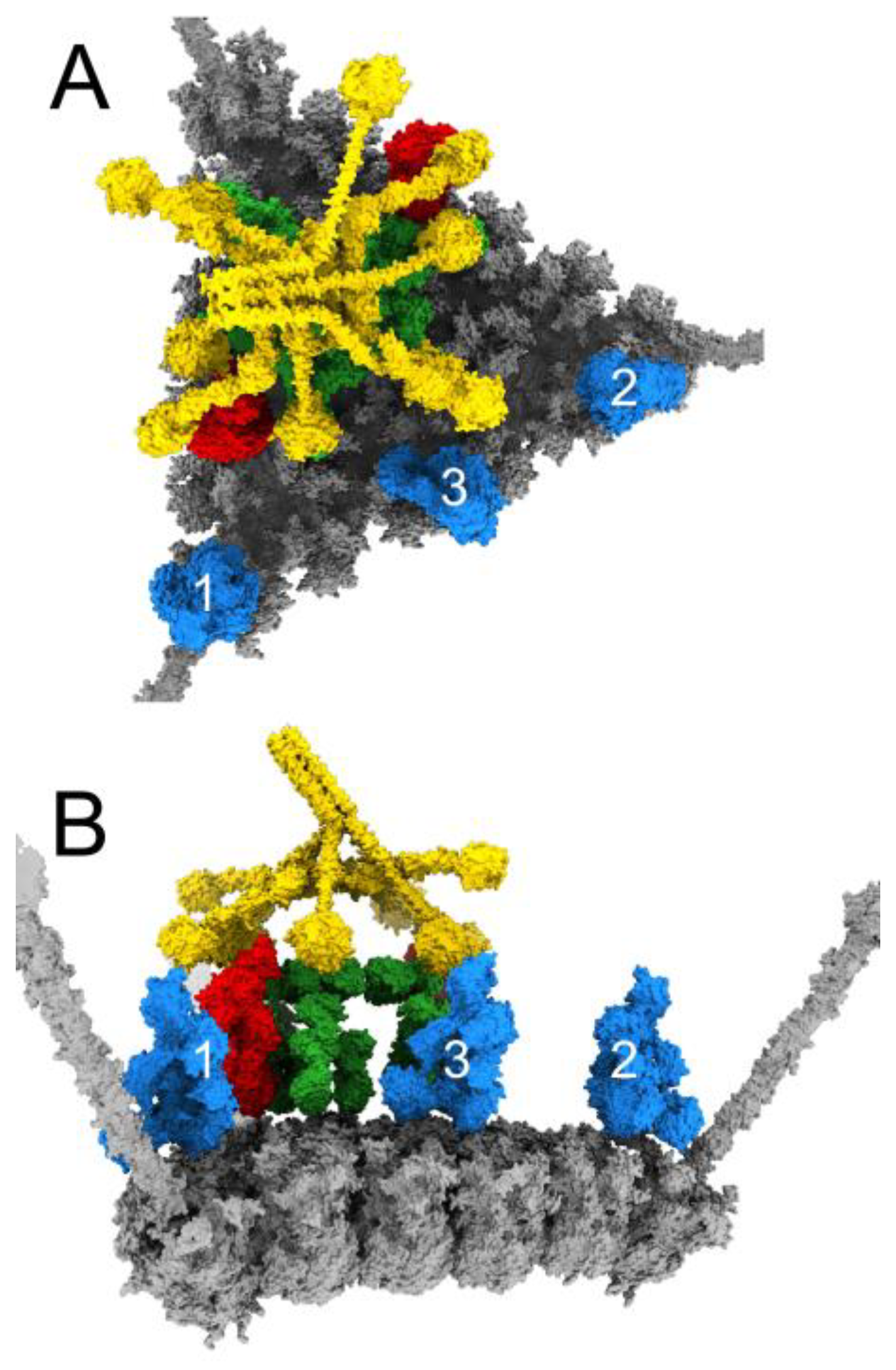 Viruses 15 01343 g004 Viruses 15 01343 g004