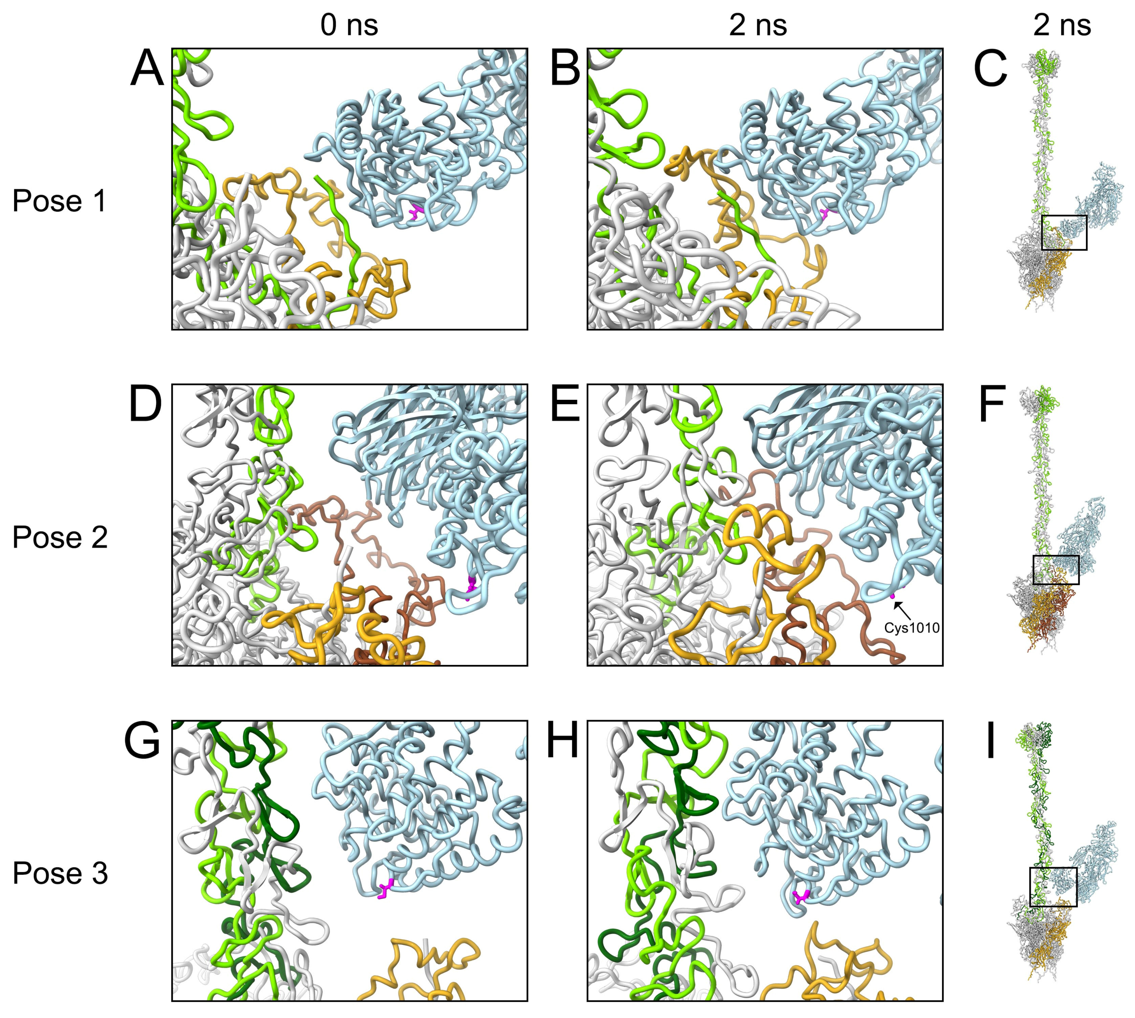 Viruses 15 01343 g006 Viruses 15 01343 g006