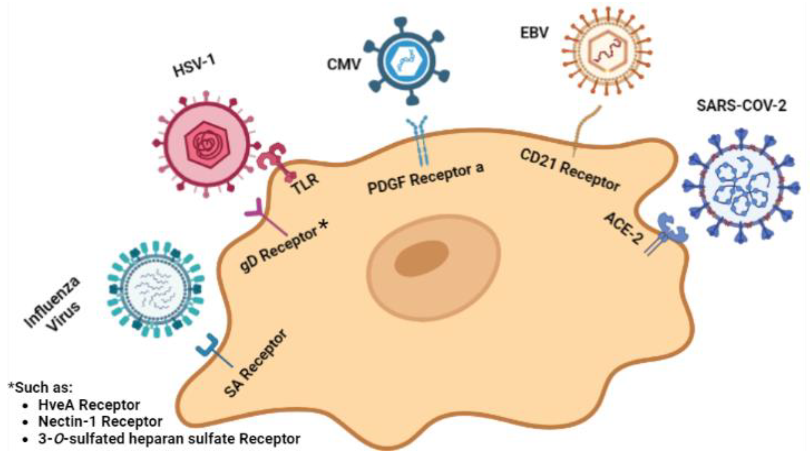 Viruses 15 01345 g002