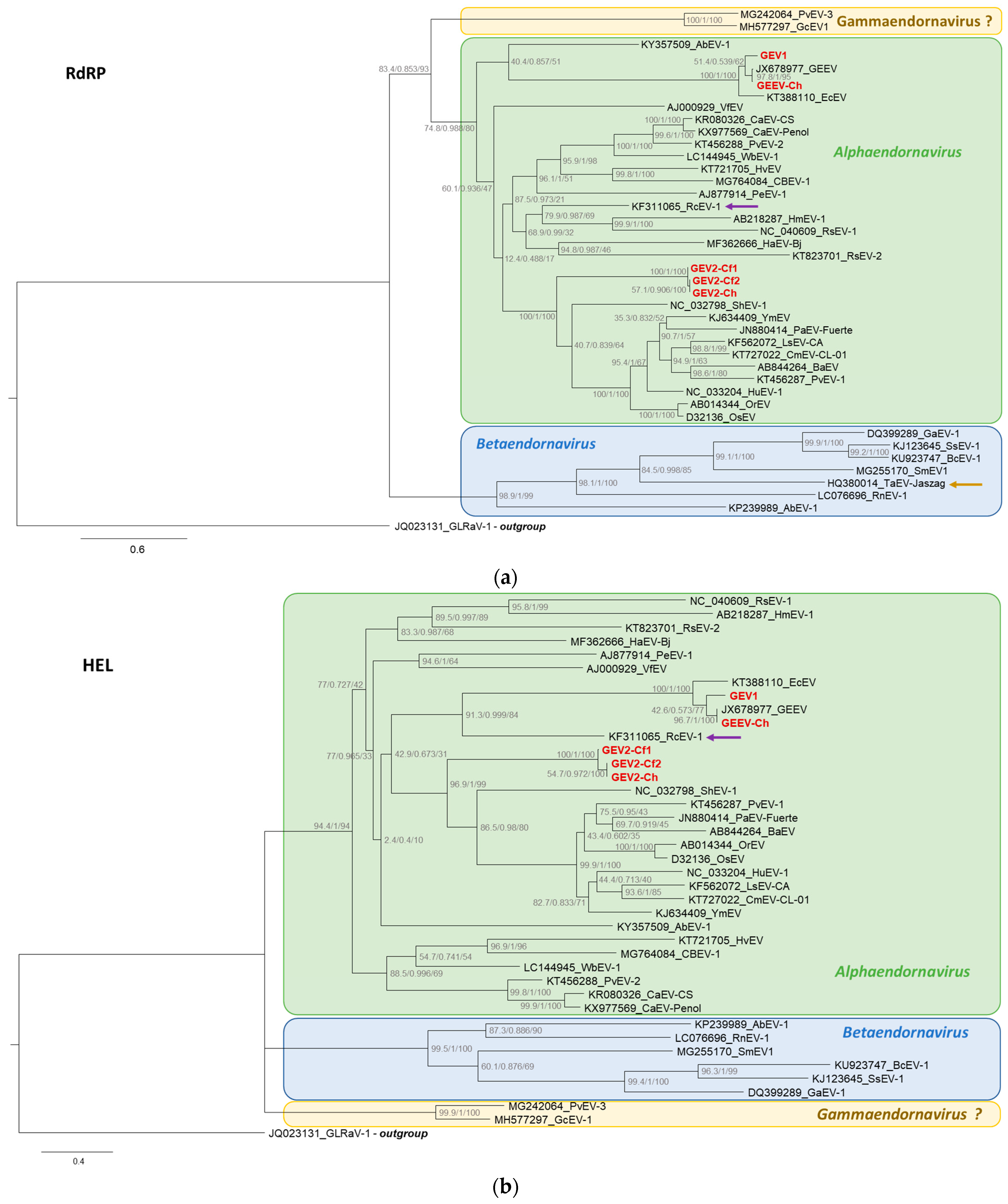 Viruses 15 01347 g003