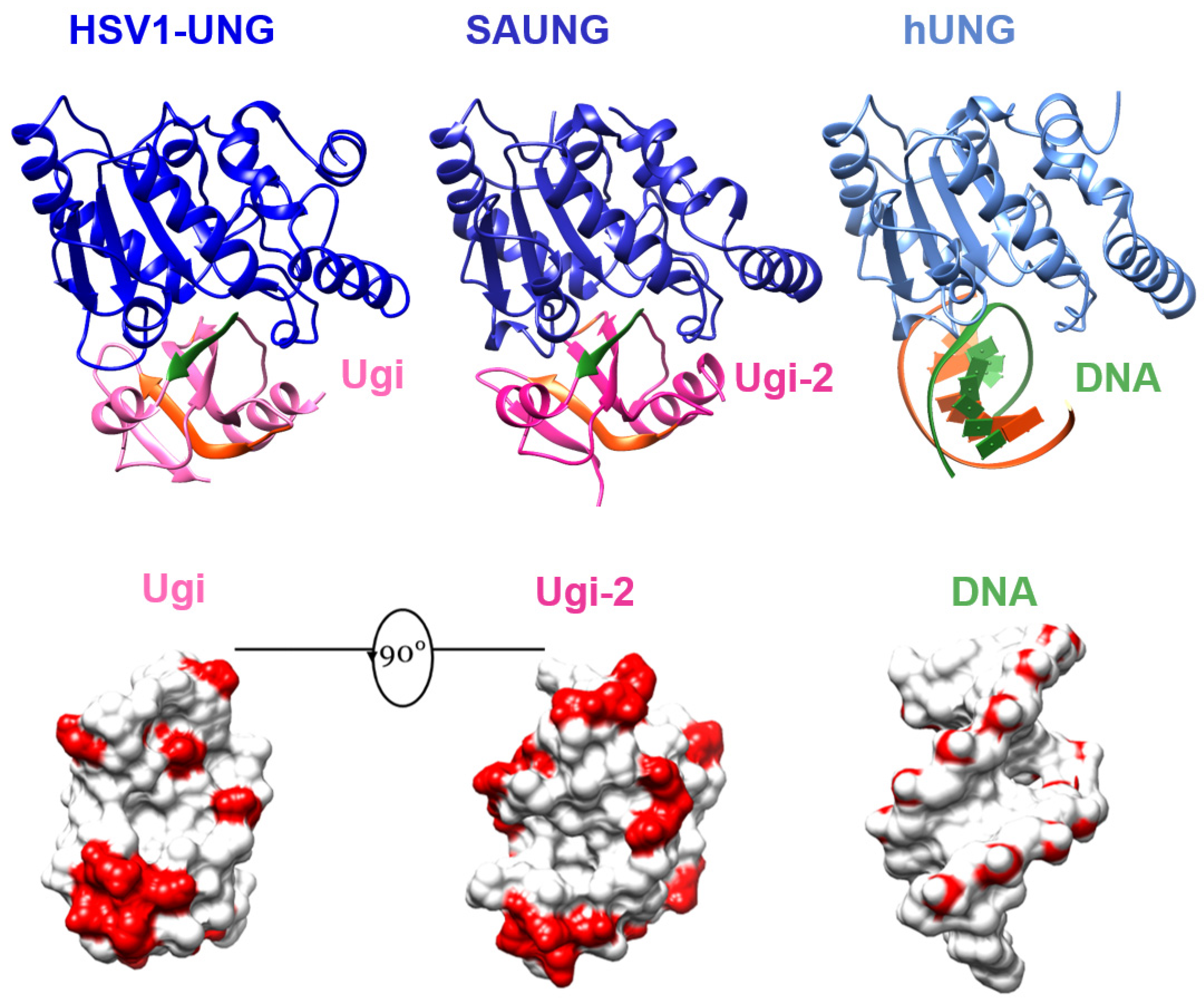 Viruses 15 01348 g005