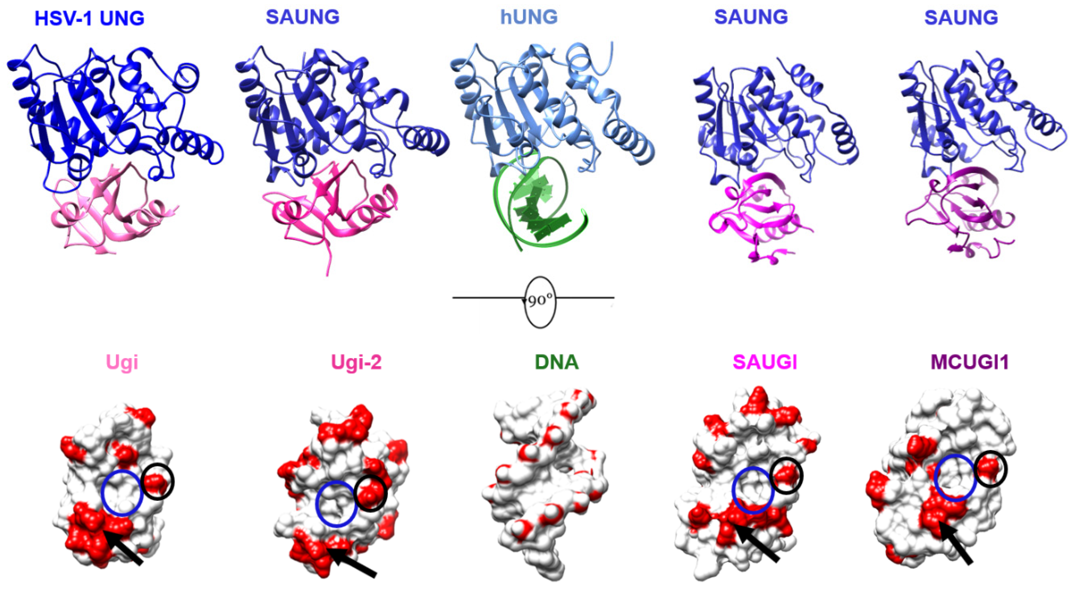 Viruses 15 01348 g006
