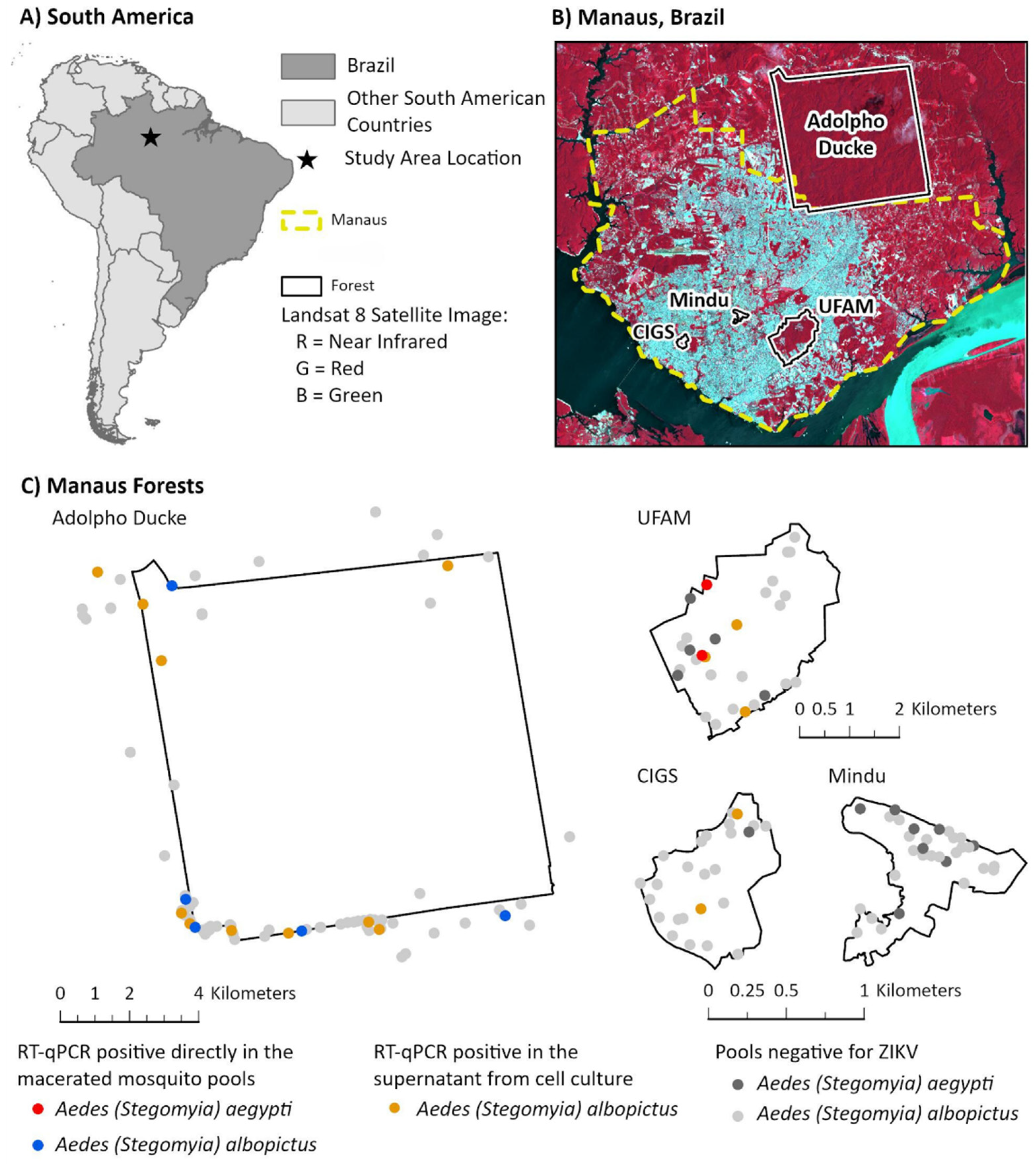 Viruses 15 01356 g001