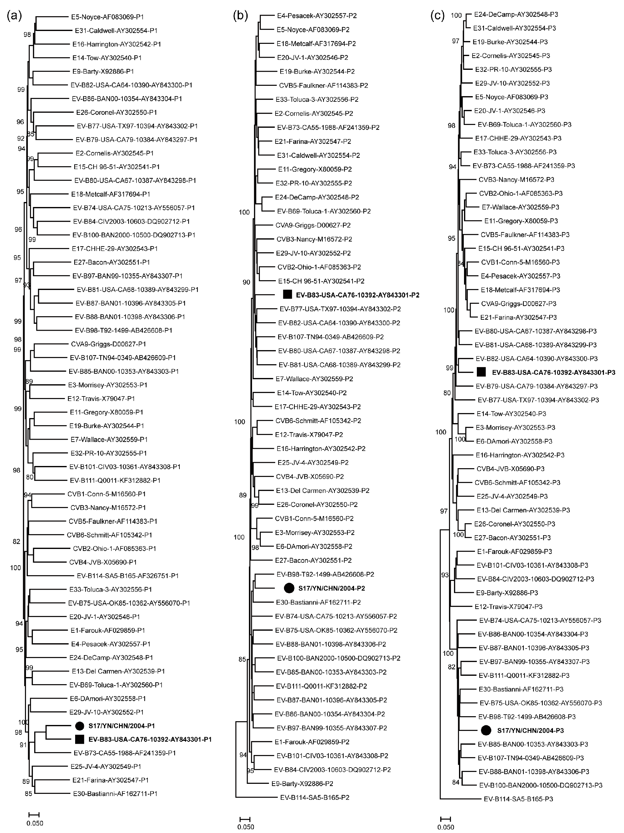 Viruses 15 01360 g002