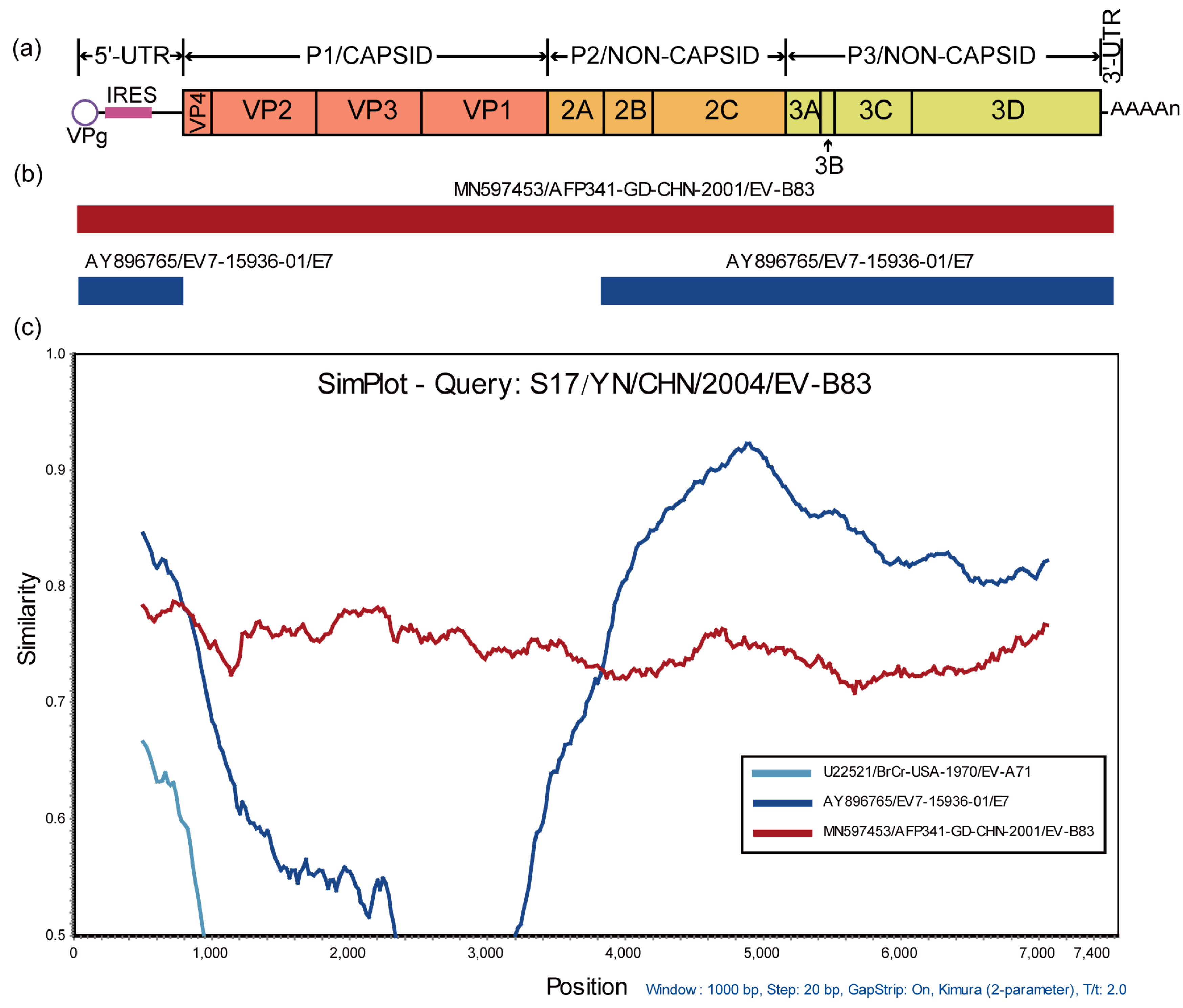 Viruses 15 01360 g003
