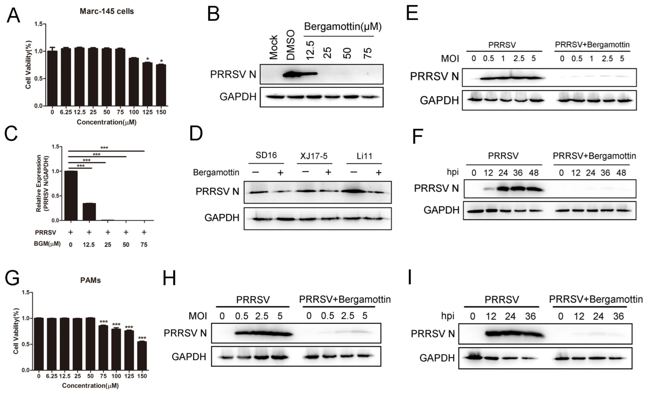 Viruses 15 01367 g001 Viruses 15 01367 g001