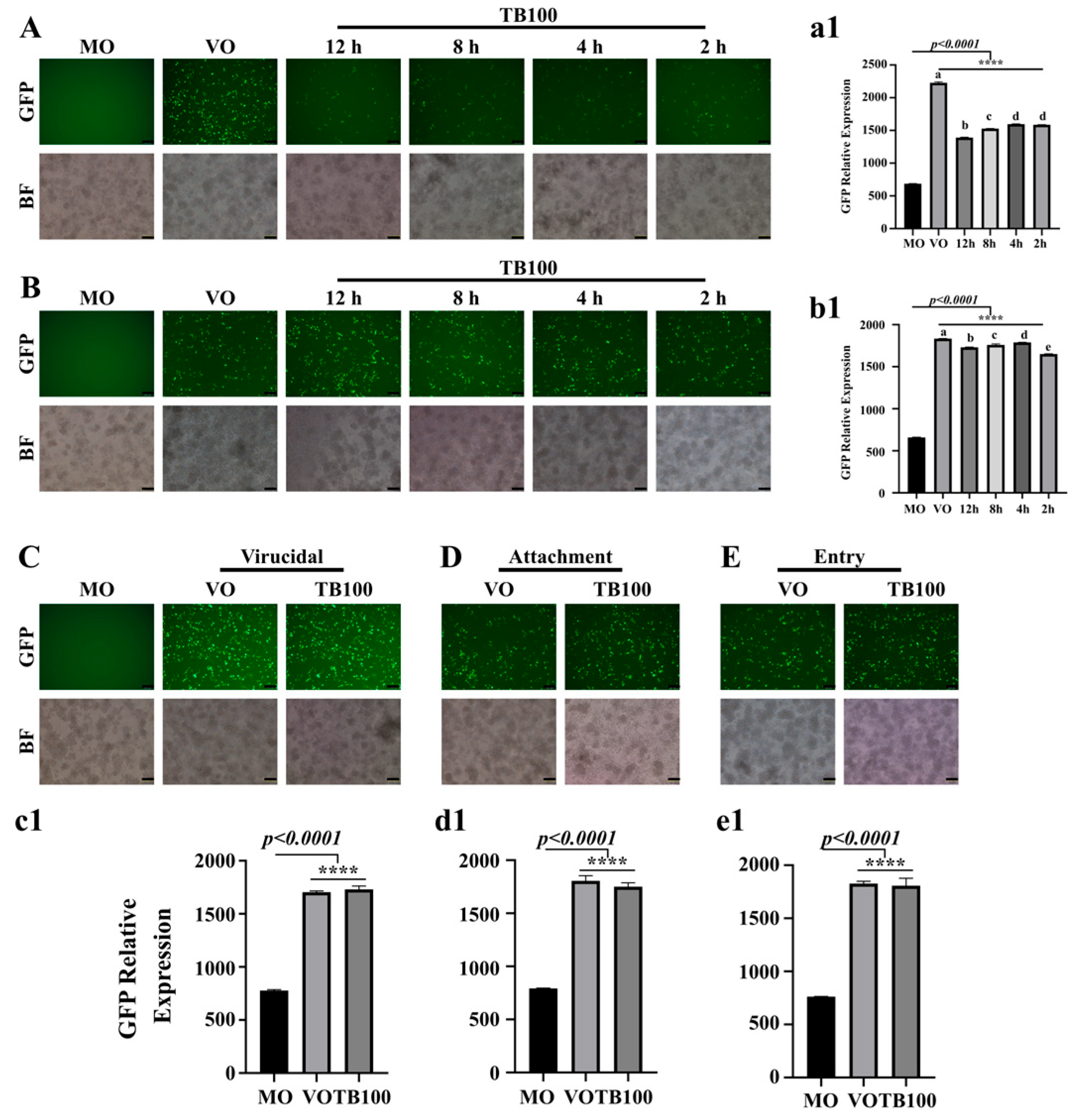 Viruses 15 01375 g001 Viruses 15 01375 g001