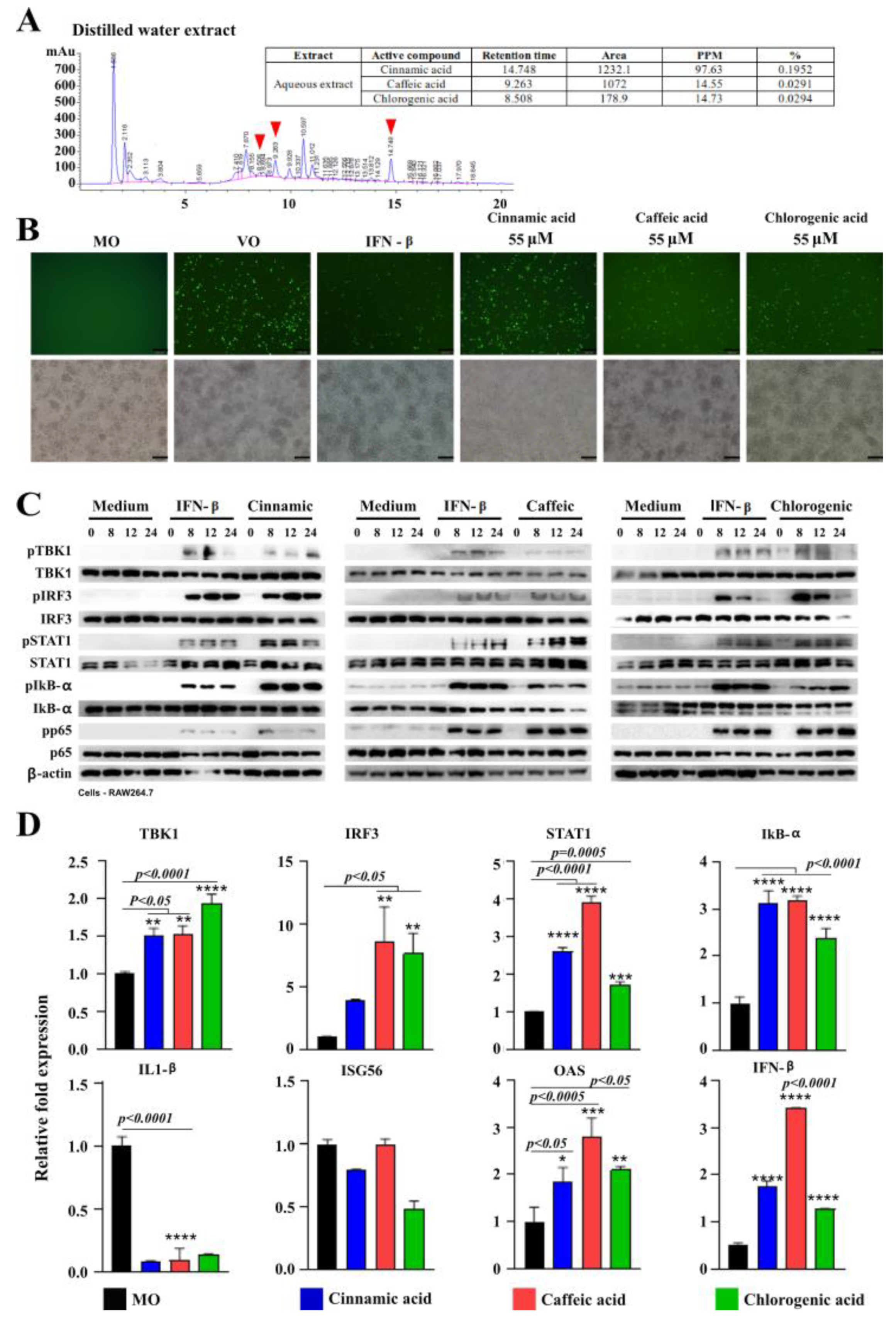 Viruses 15 01375 g005 Viruses 15 01375 g005