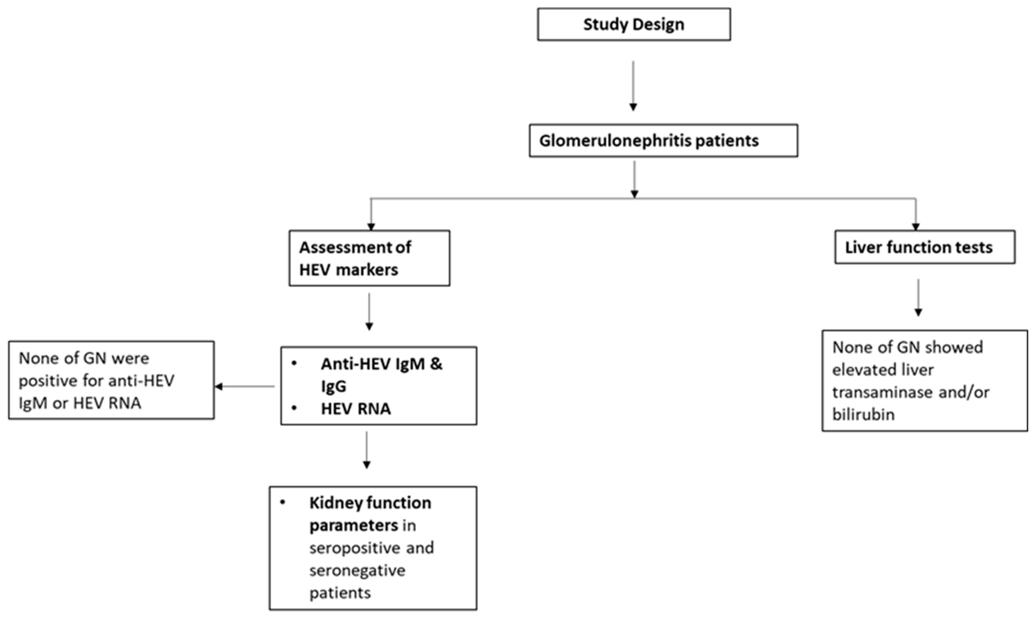 Viruses 15 01379 g001