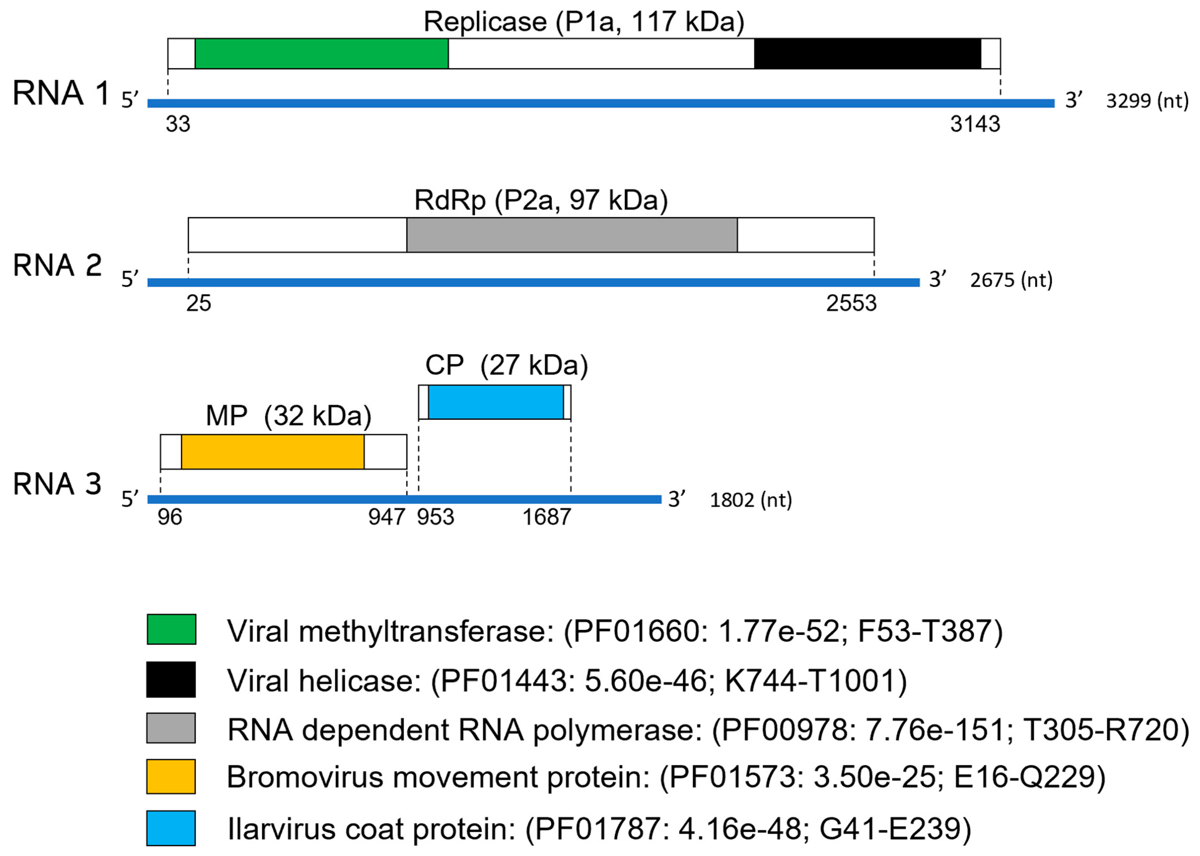 Viruses 15 01380 g002
