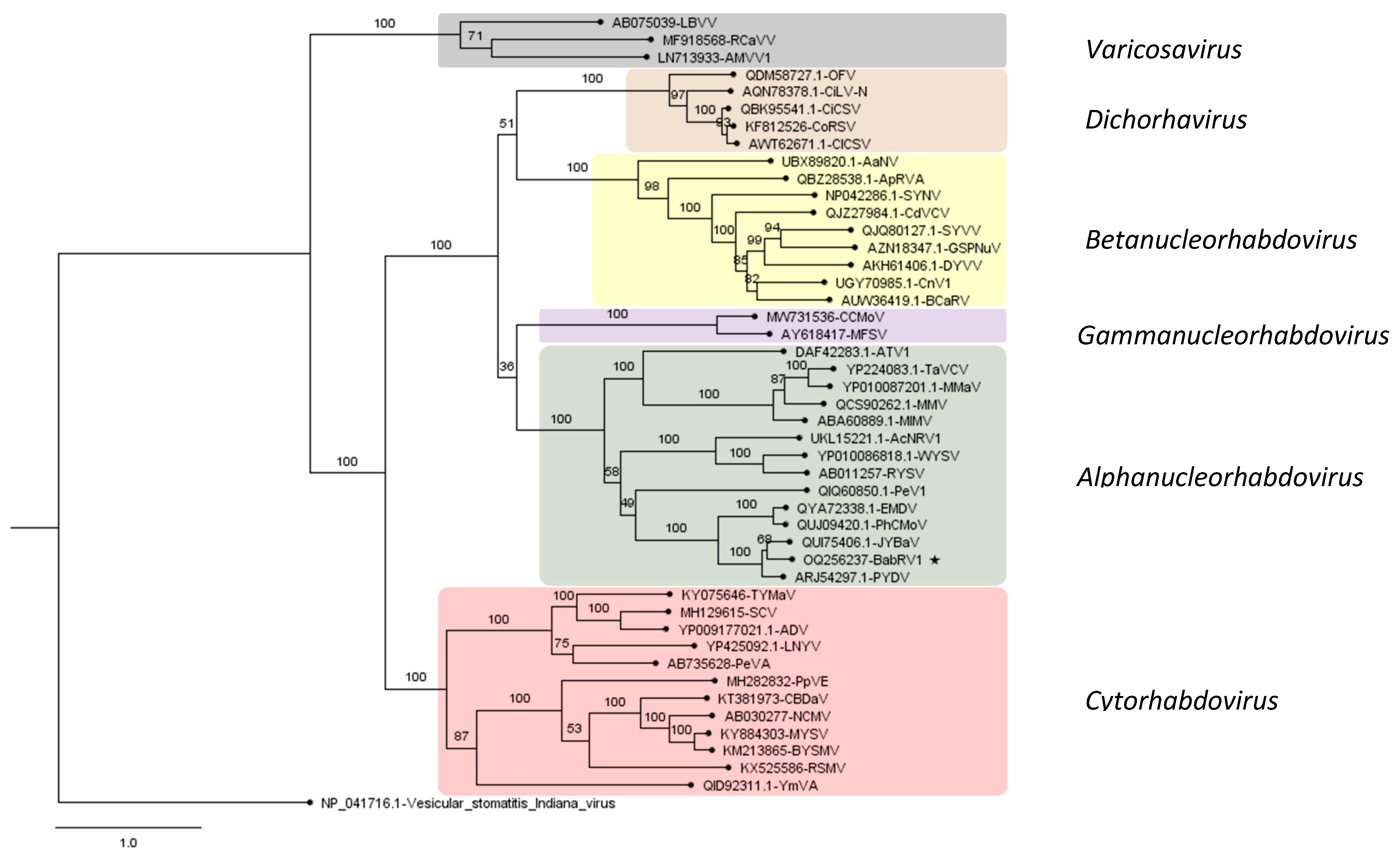 Viruses 15 01380 g005
