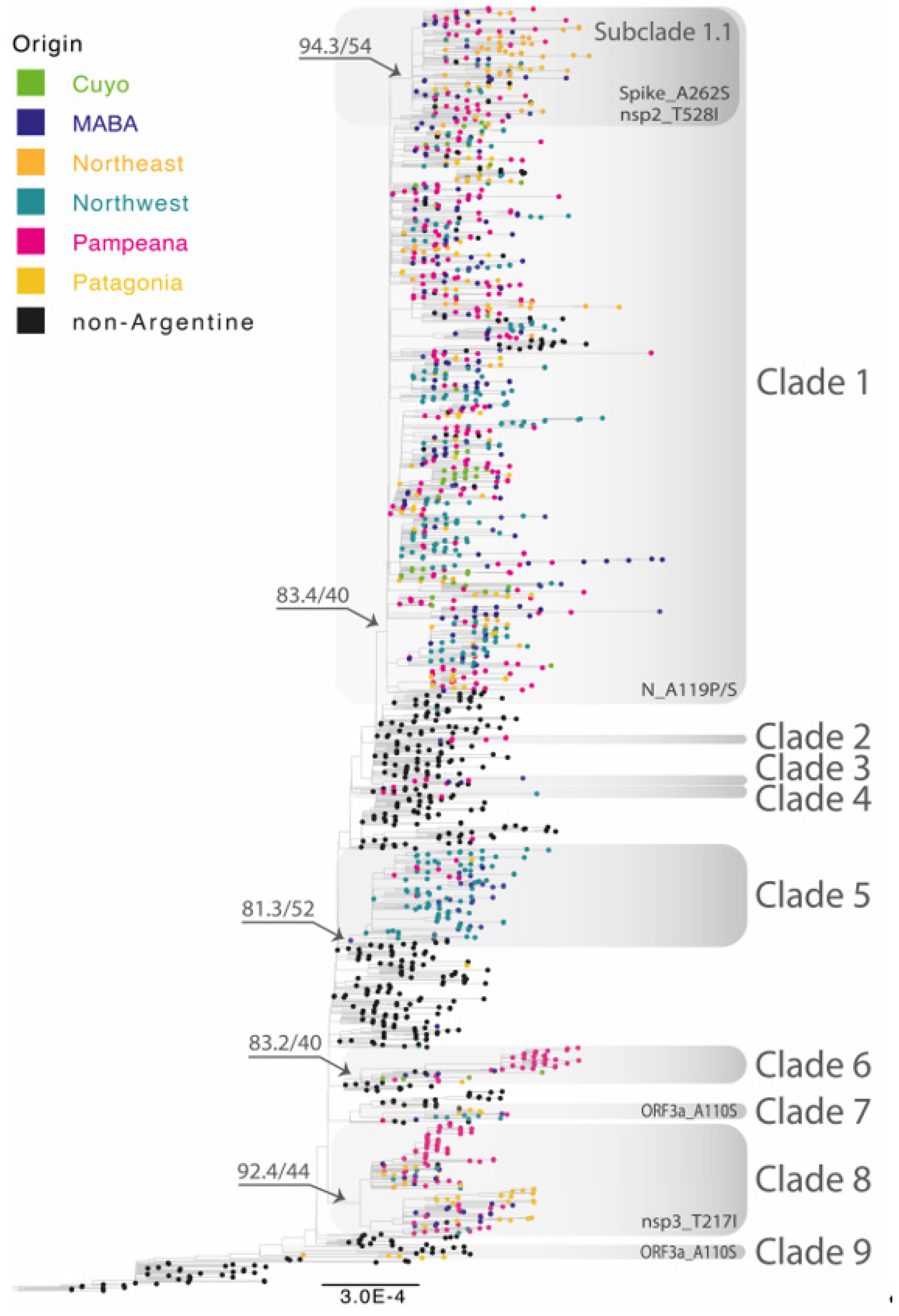 Viruses 15 01382 g003 Viruses 15 01382 g003