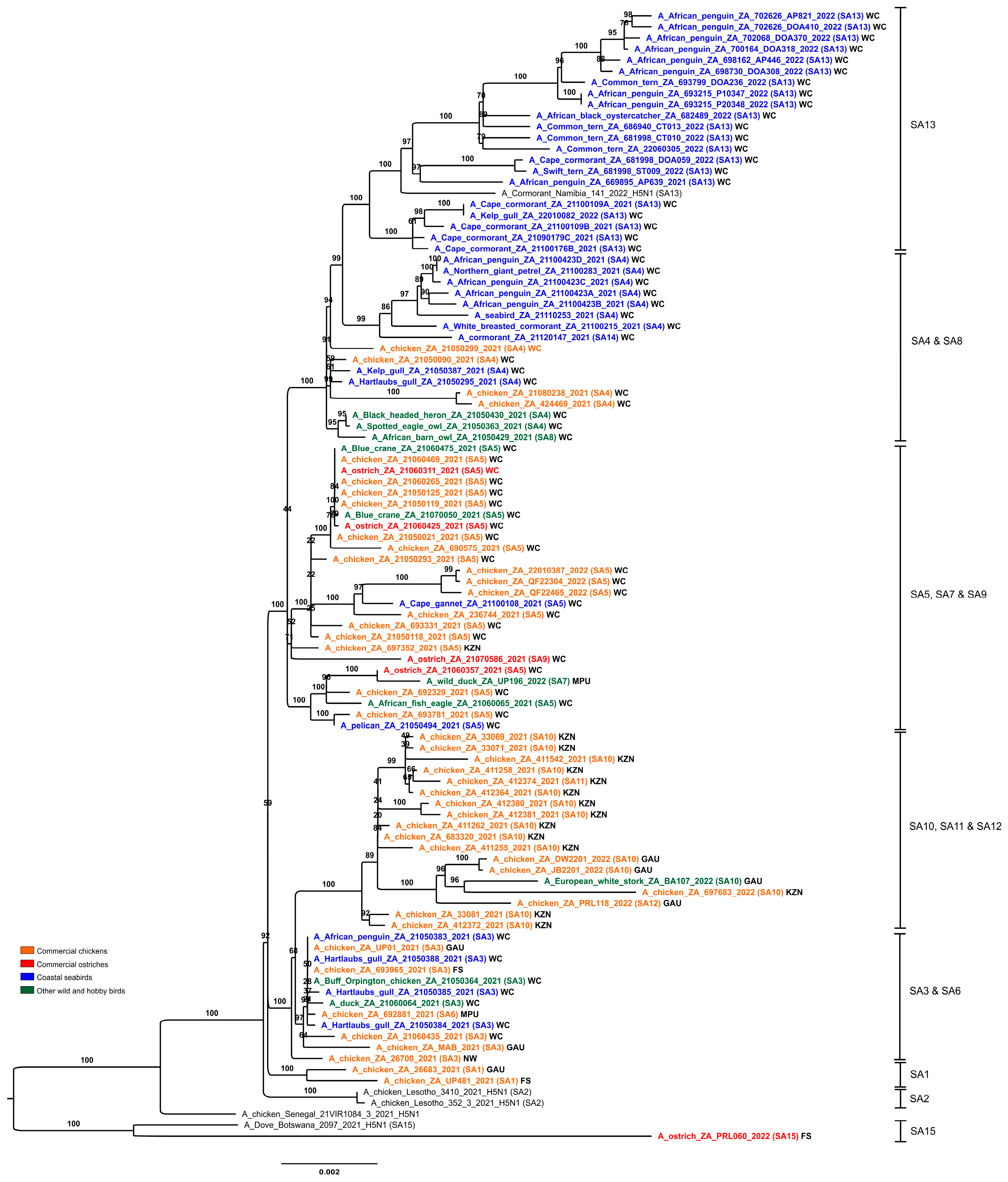 Viruses 15 01383 g003
