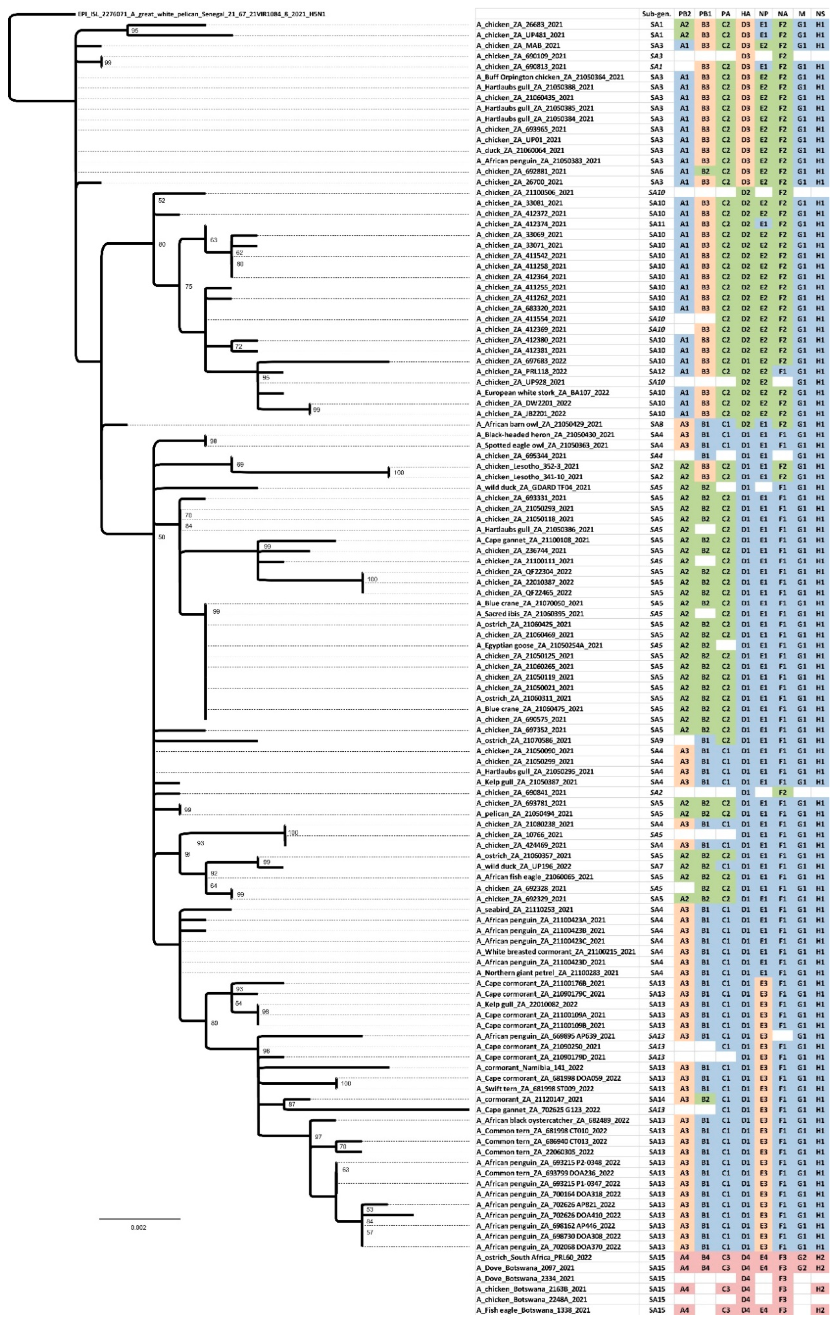 Viruses 15 01383 g005