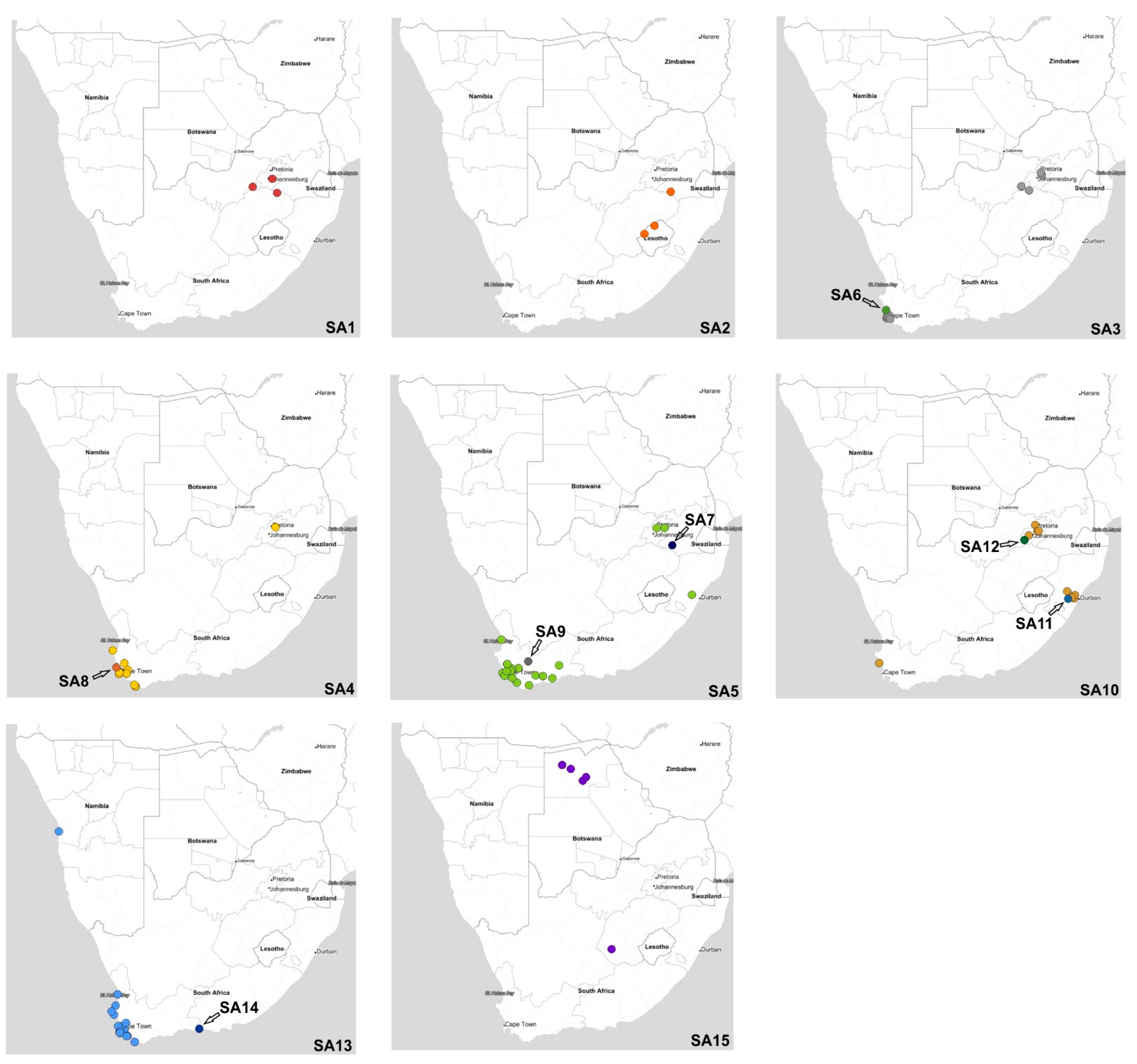 Viruses 15 01383 g007