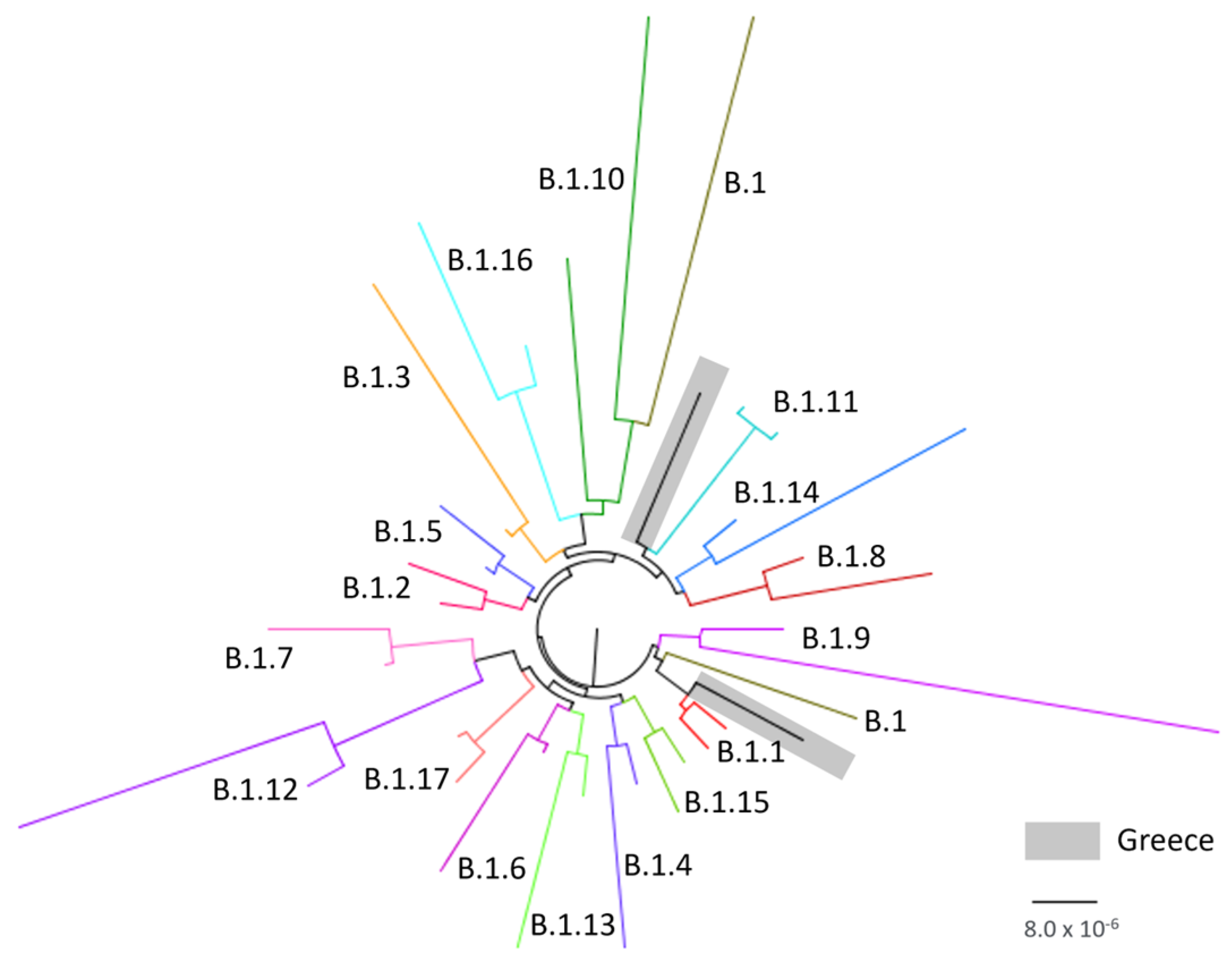 Viruses 15 01384 g003