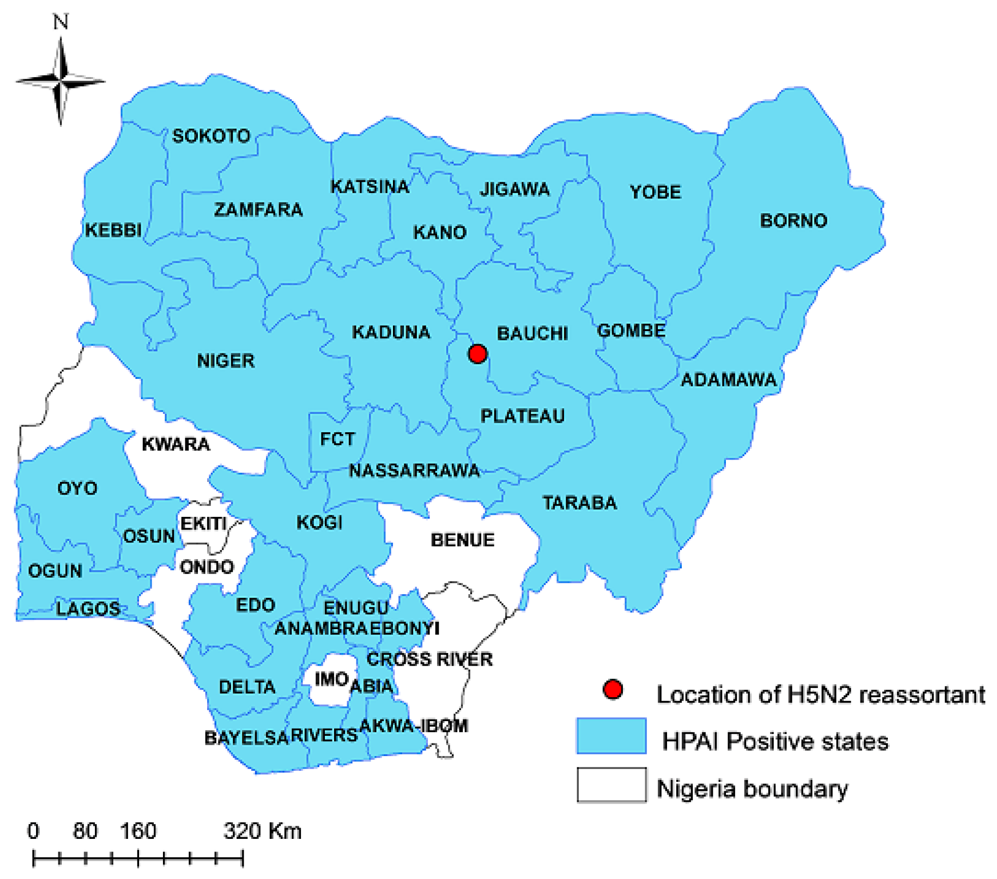 Viruses 15 01387 g001