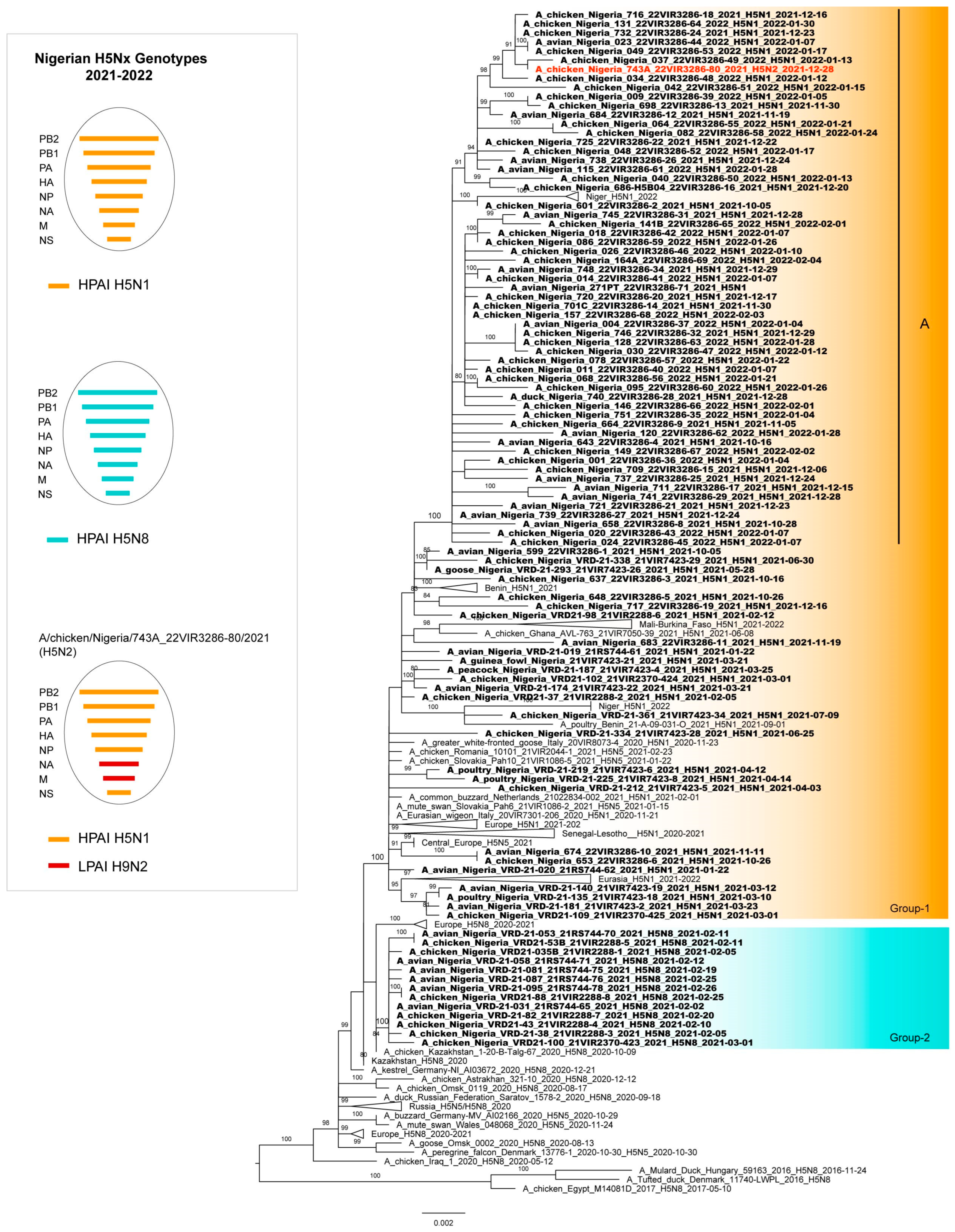 Viruses 15 01387 g003