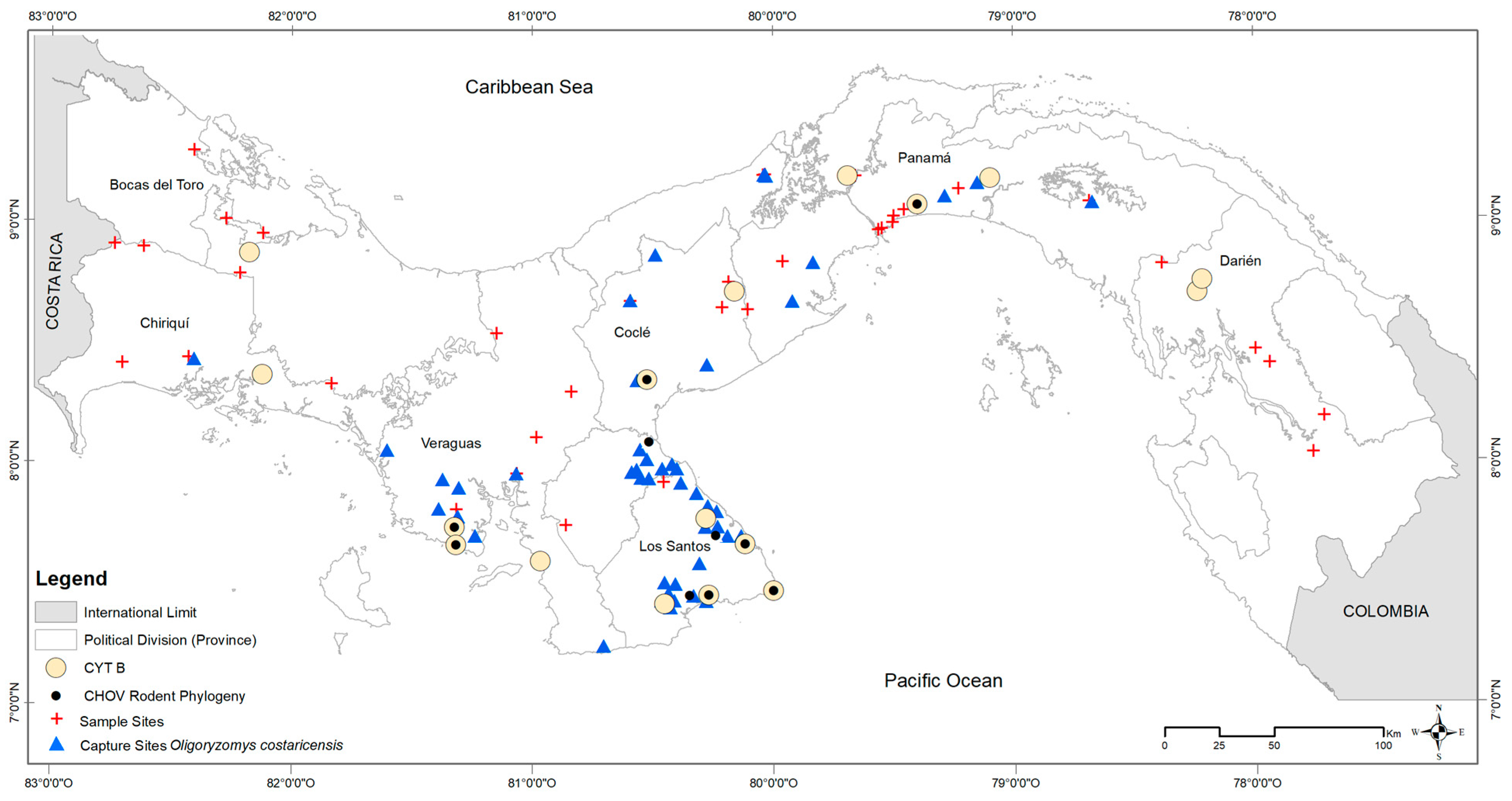 Viruses 15 01390 g001