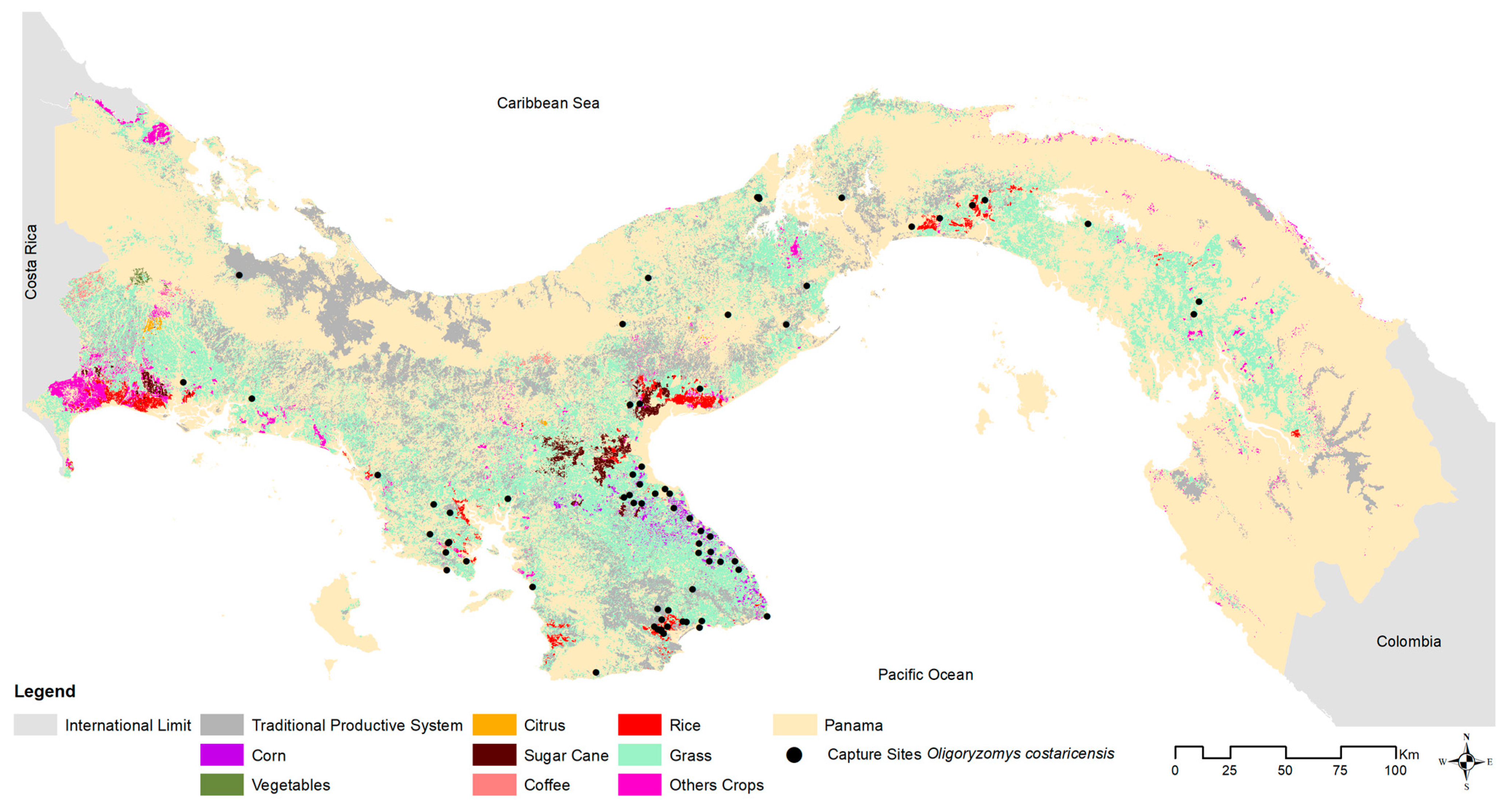 Viruses 15 01390 g003