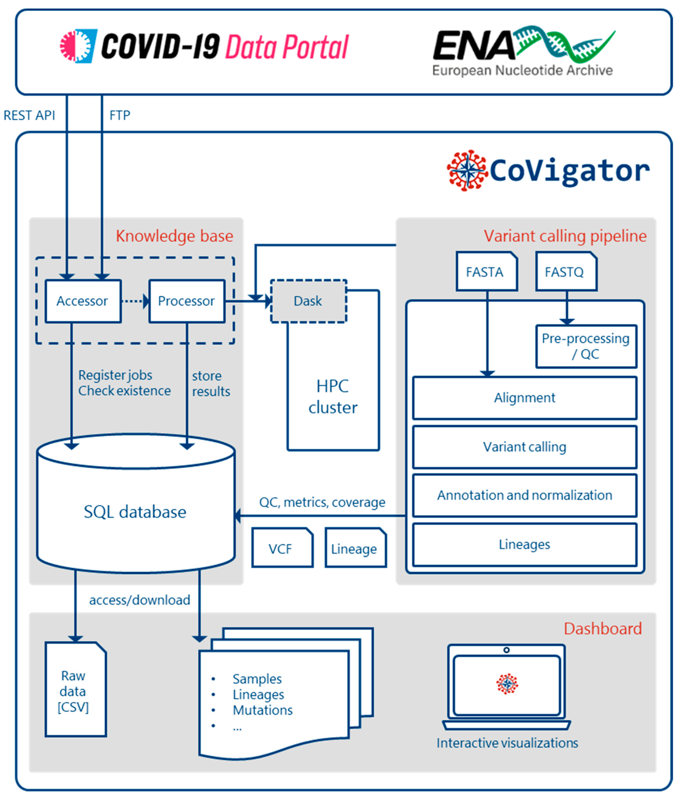 Viruses 15 01391 g001