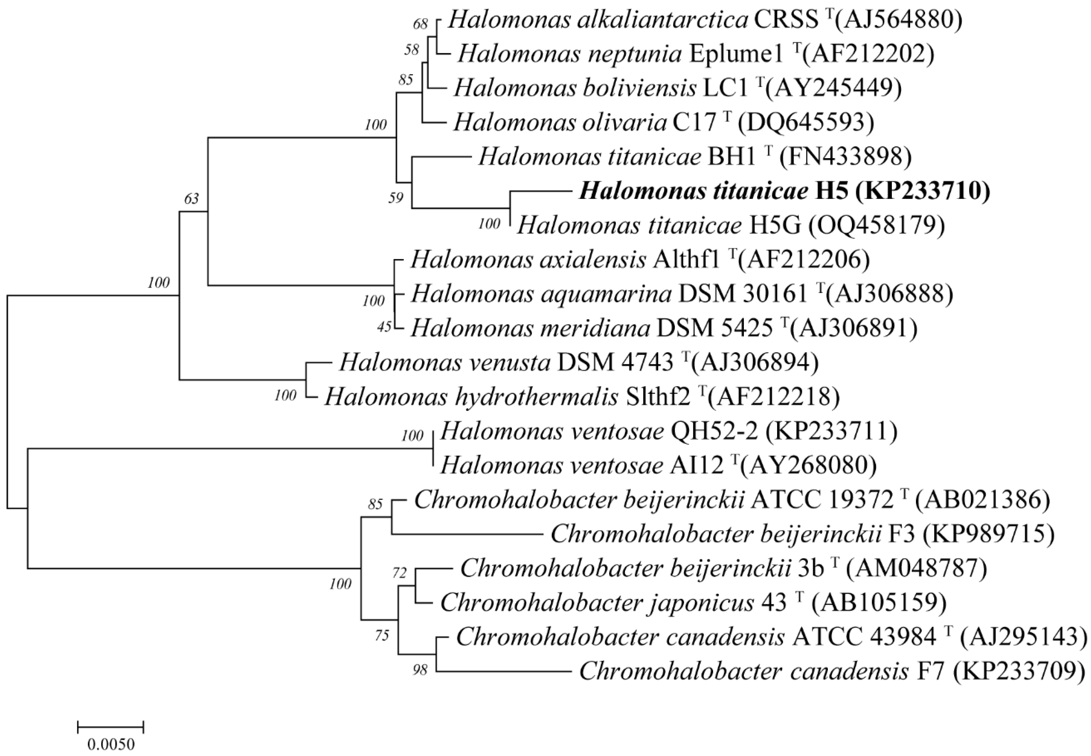 Viruses 15 01392 g001 Viruses 15 01392 g001