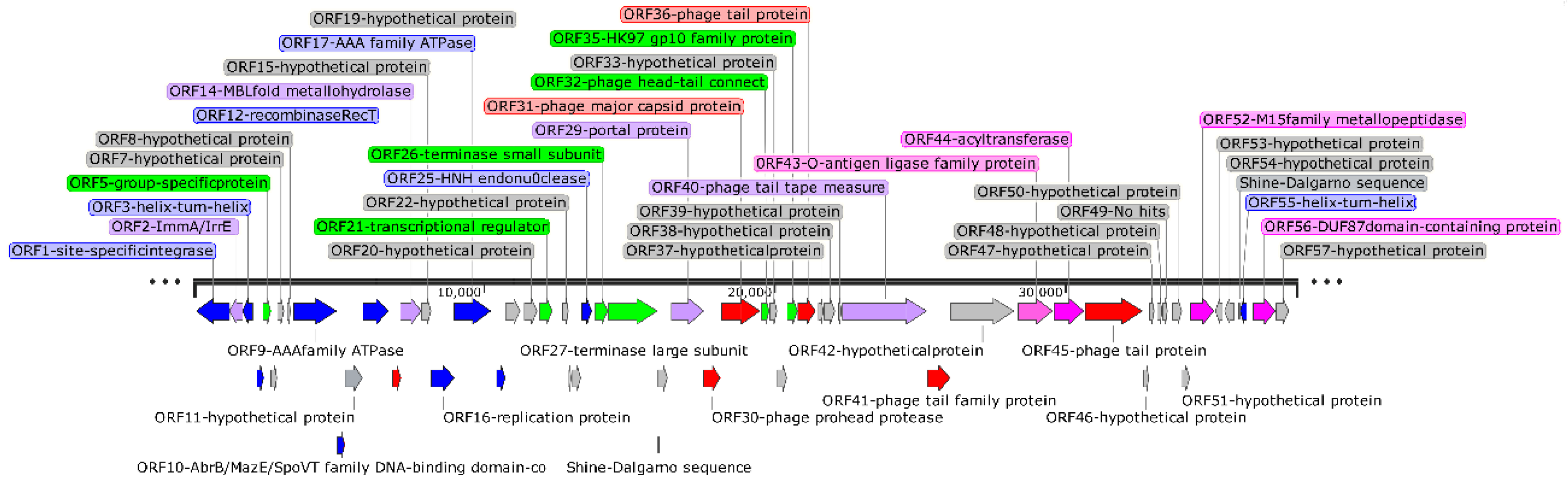 Viruses 15 01392 g005 Viruses 15 01392 g005