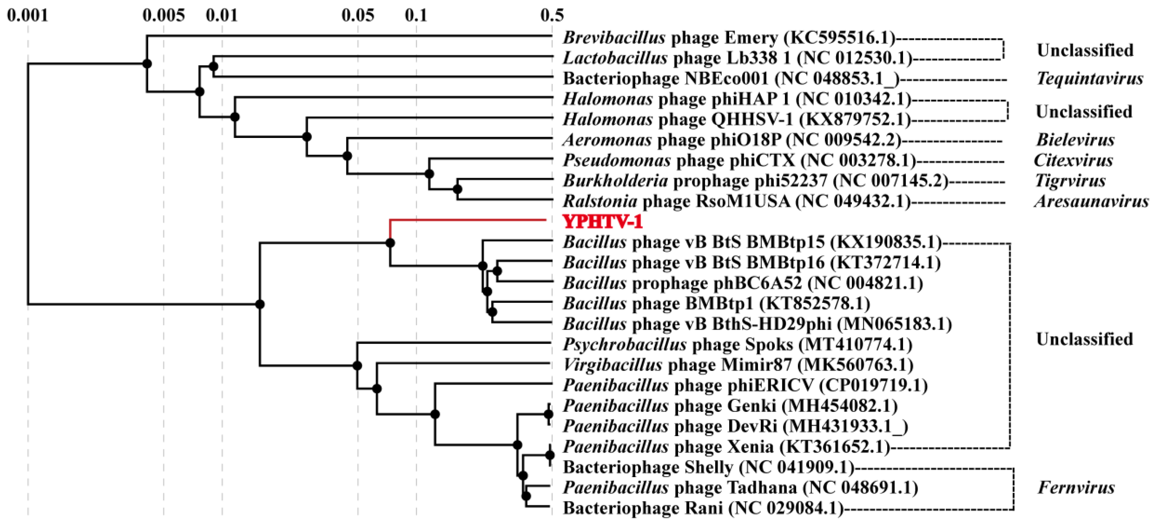 Viruses 15 01392 g007 Viruses 15 01392 g007
