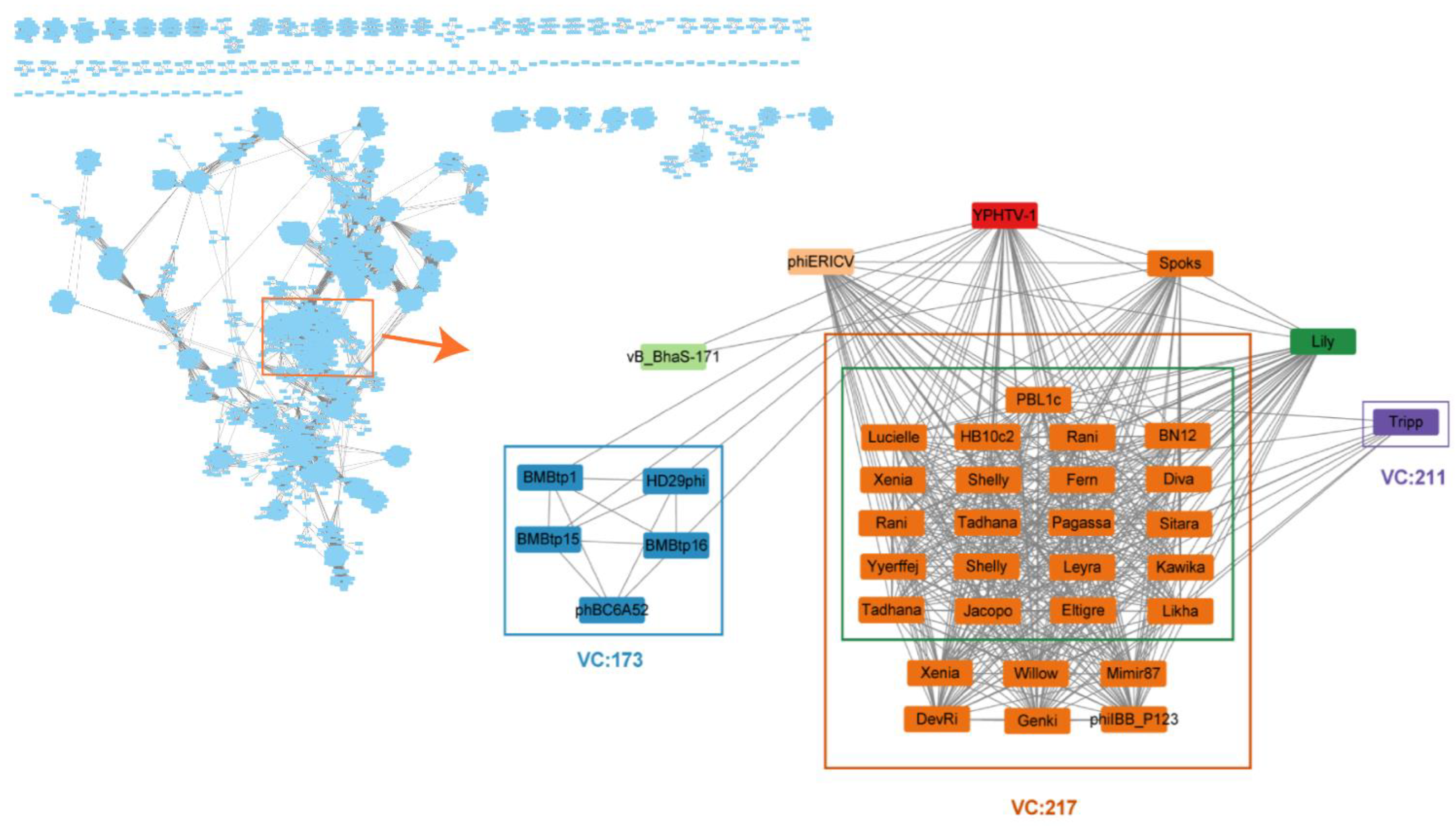 Viruses 15 01392 g008 Viruses 15 01392 g008