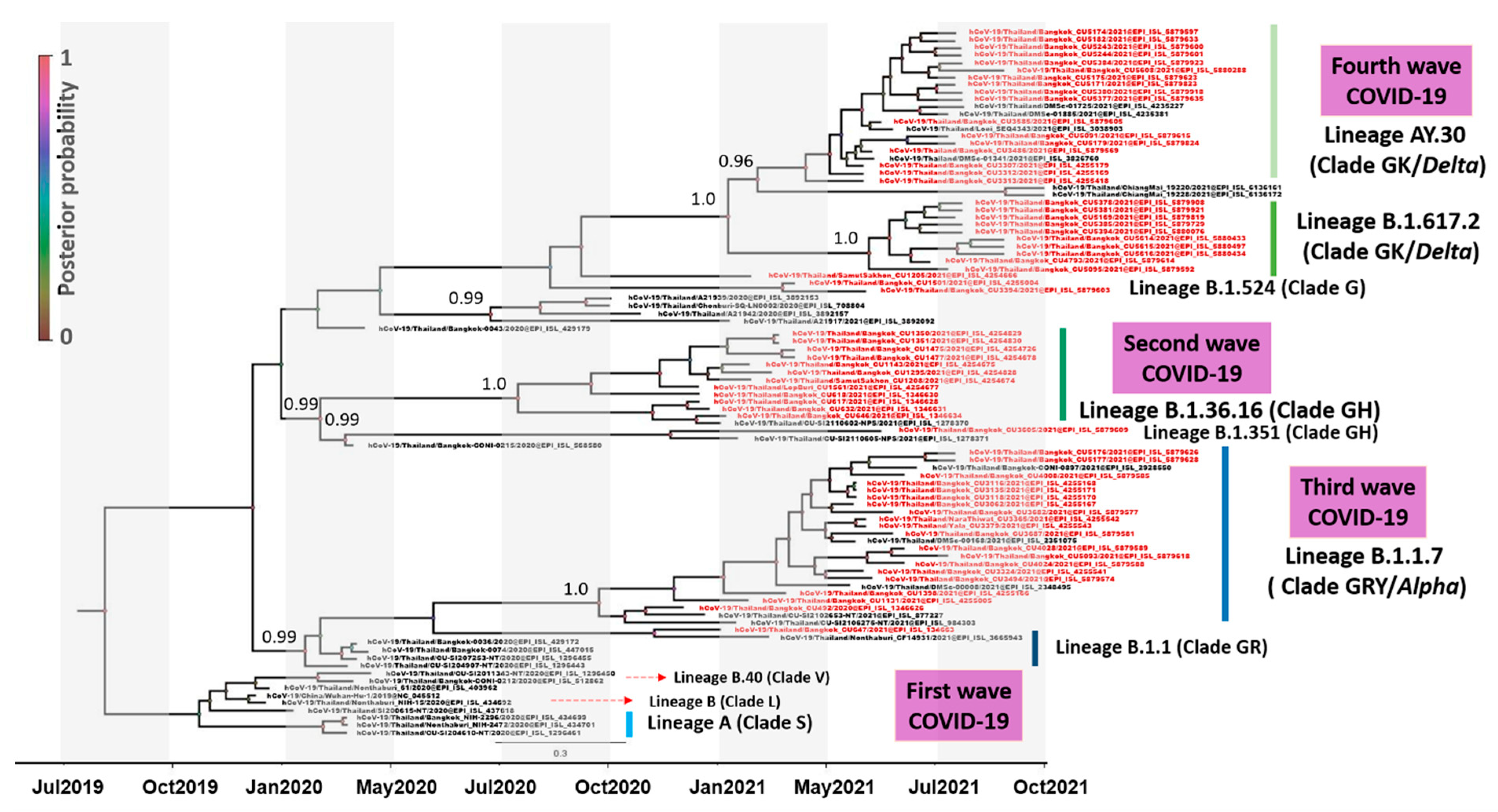 Viruses 15 01394 g001 Viruses 15 01394 g001