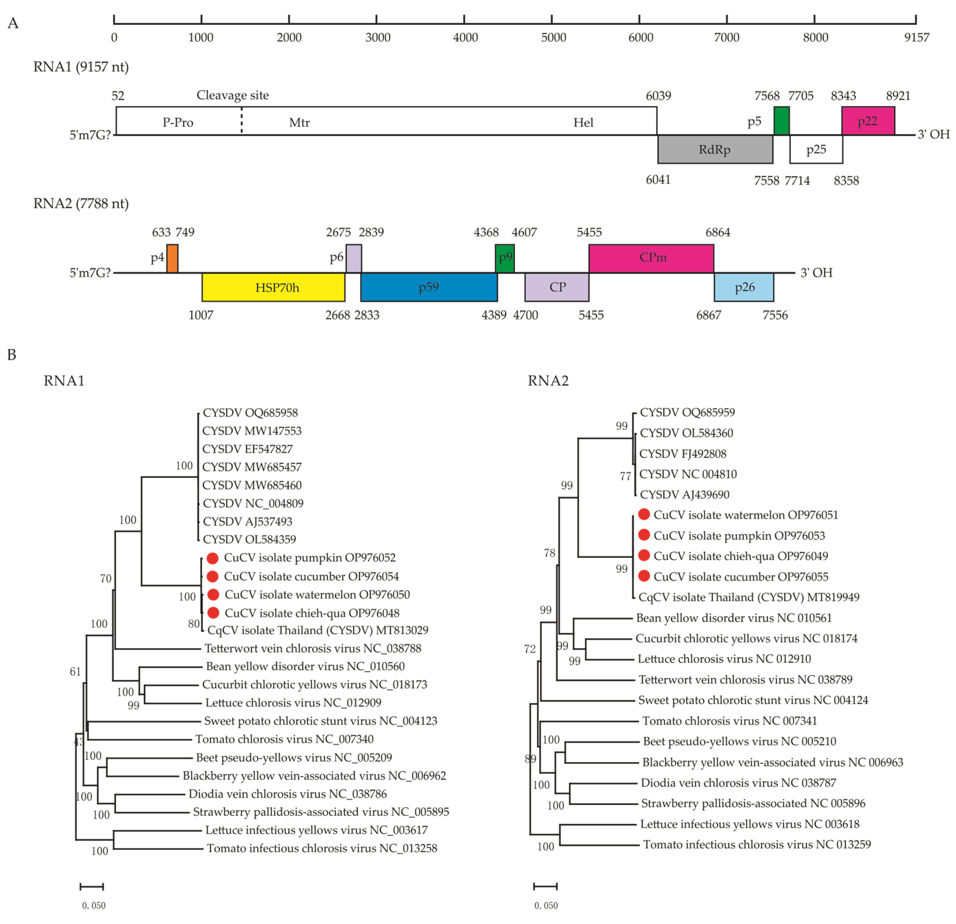 Viruses 15 01396 g002 Viruses 15 01396 g002