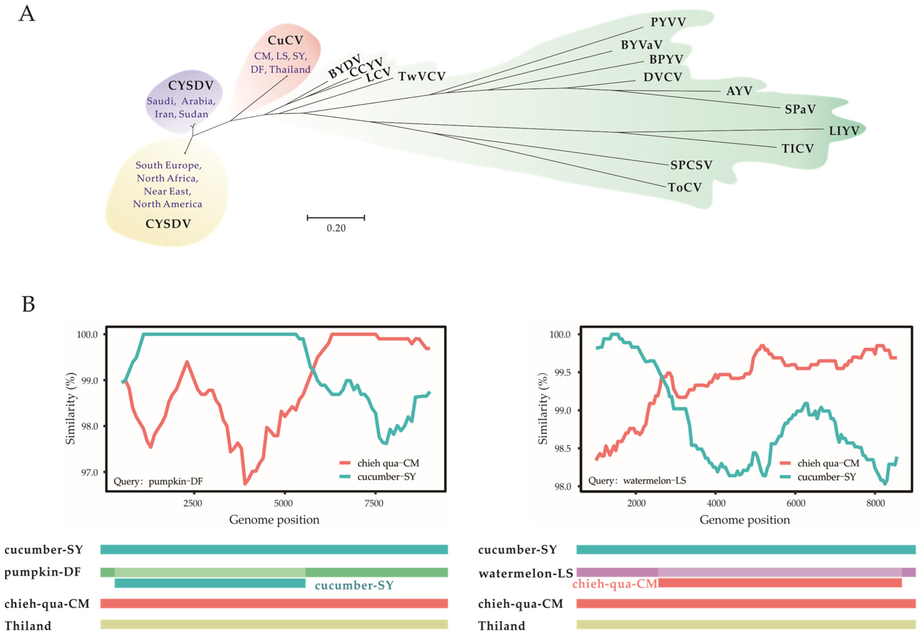 Viruses 15 01396 g003 Viruses 15 01396 g003